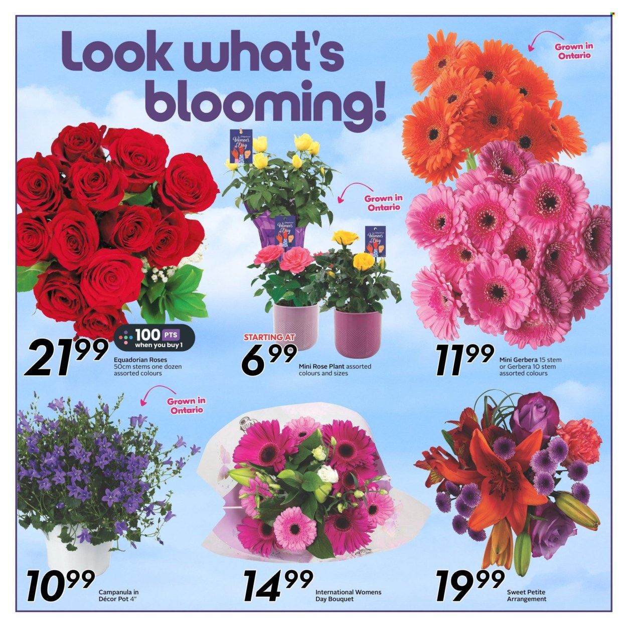 Sobeys flyer - March 07, 2024 - March 13, 2024. Page 15