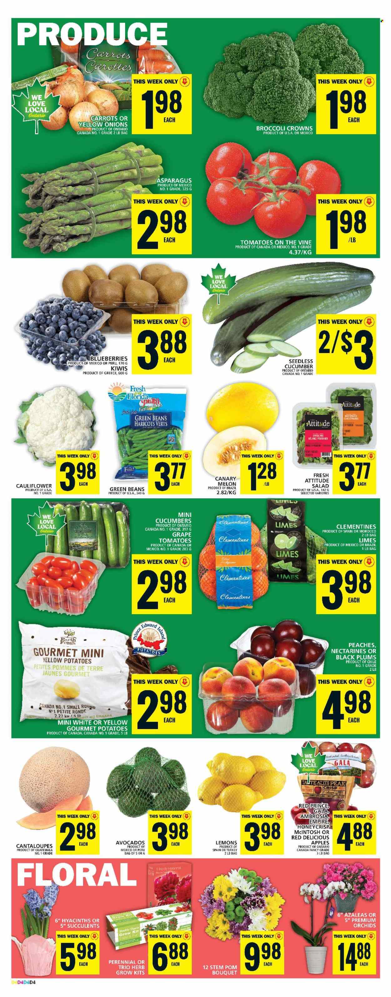 Food Basics flyer - March 14, 2024 - March 20, 2024. Page 6