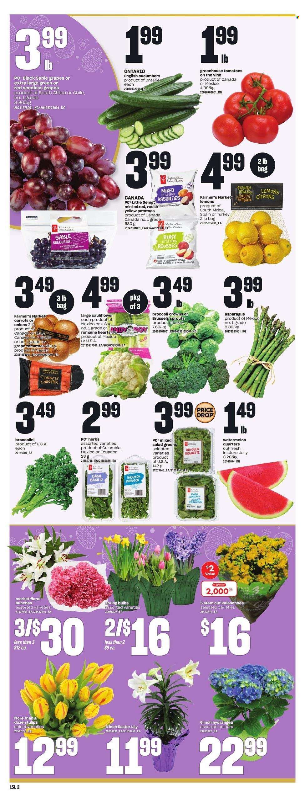 Loblaws flyer - March 21, 2024 - March 27, 2024. Page 3