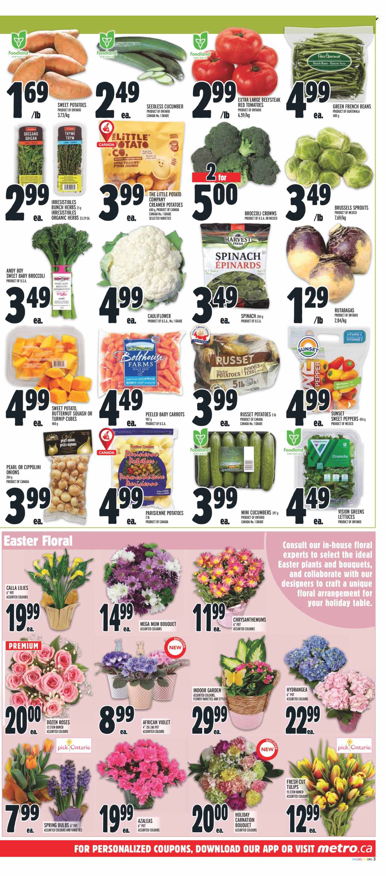Metro flyer - March 28, 2024 - April 03, 2024. Page 5