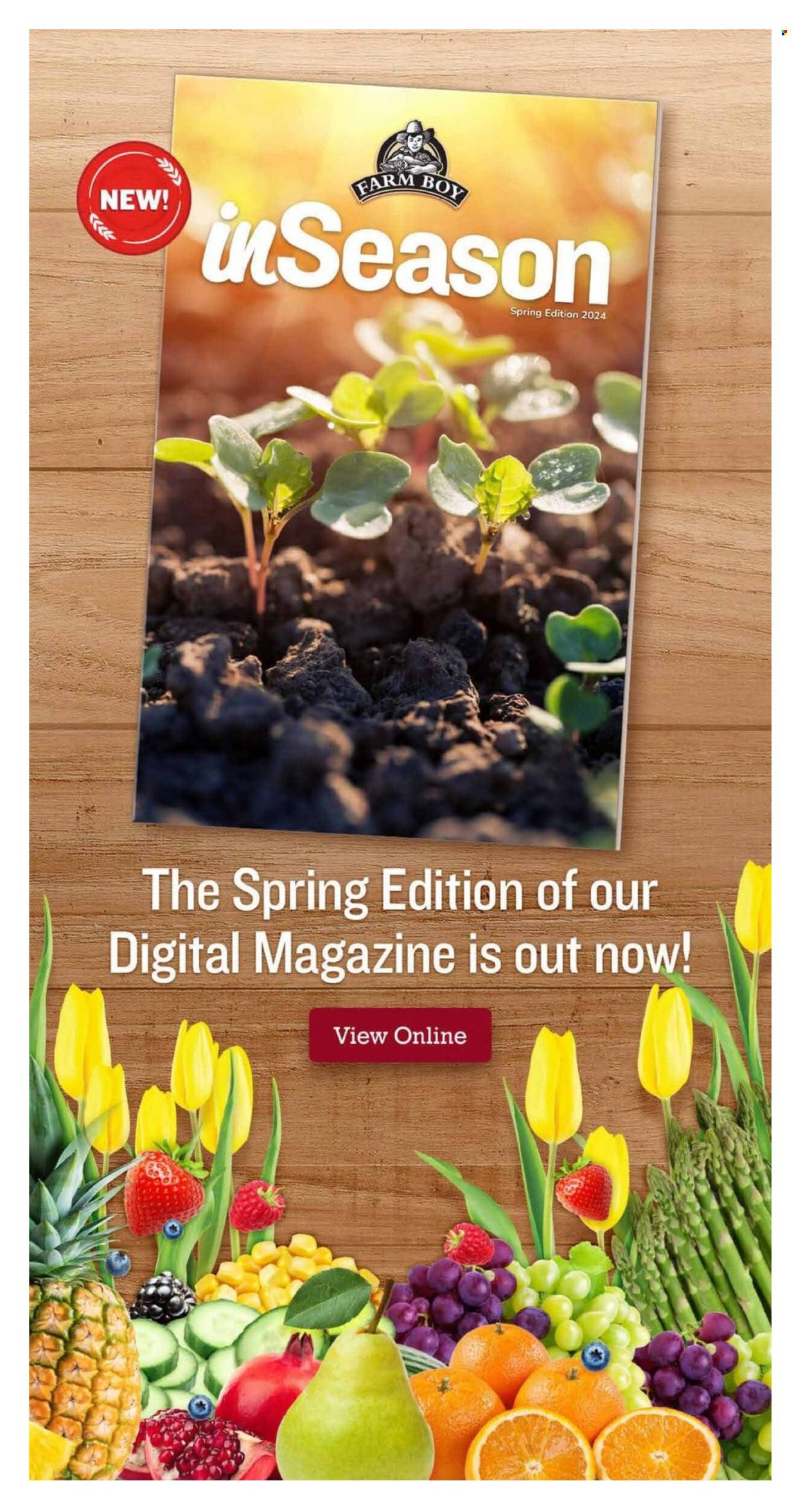 Farm Boy flyer - April 04, 2024 - April 10, 2024. Page 10