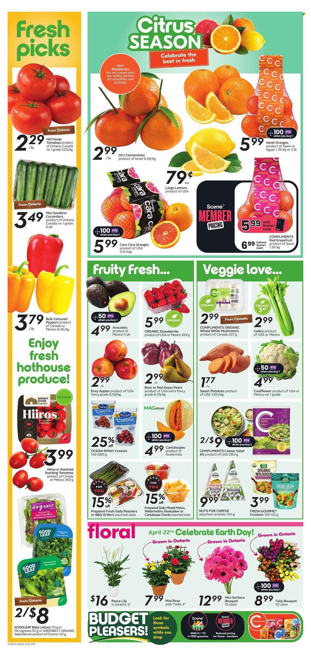 Sobeys flyer - April 11, 2024 - April 17, 2024. Page 7