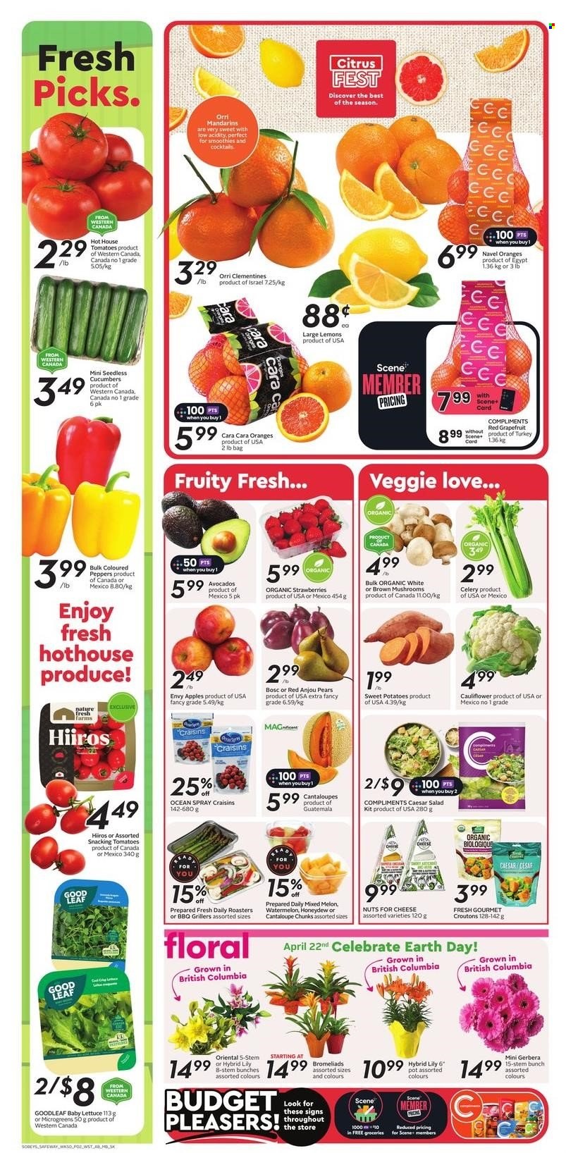 Circulaire Safeway - 11 Avril 2024 - 17 Avril 2024. Page 6