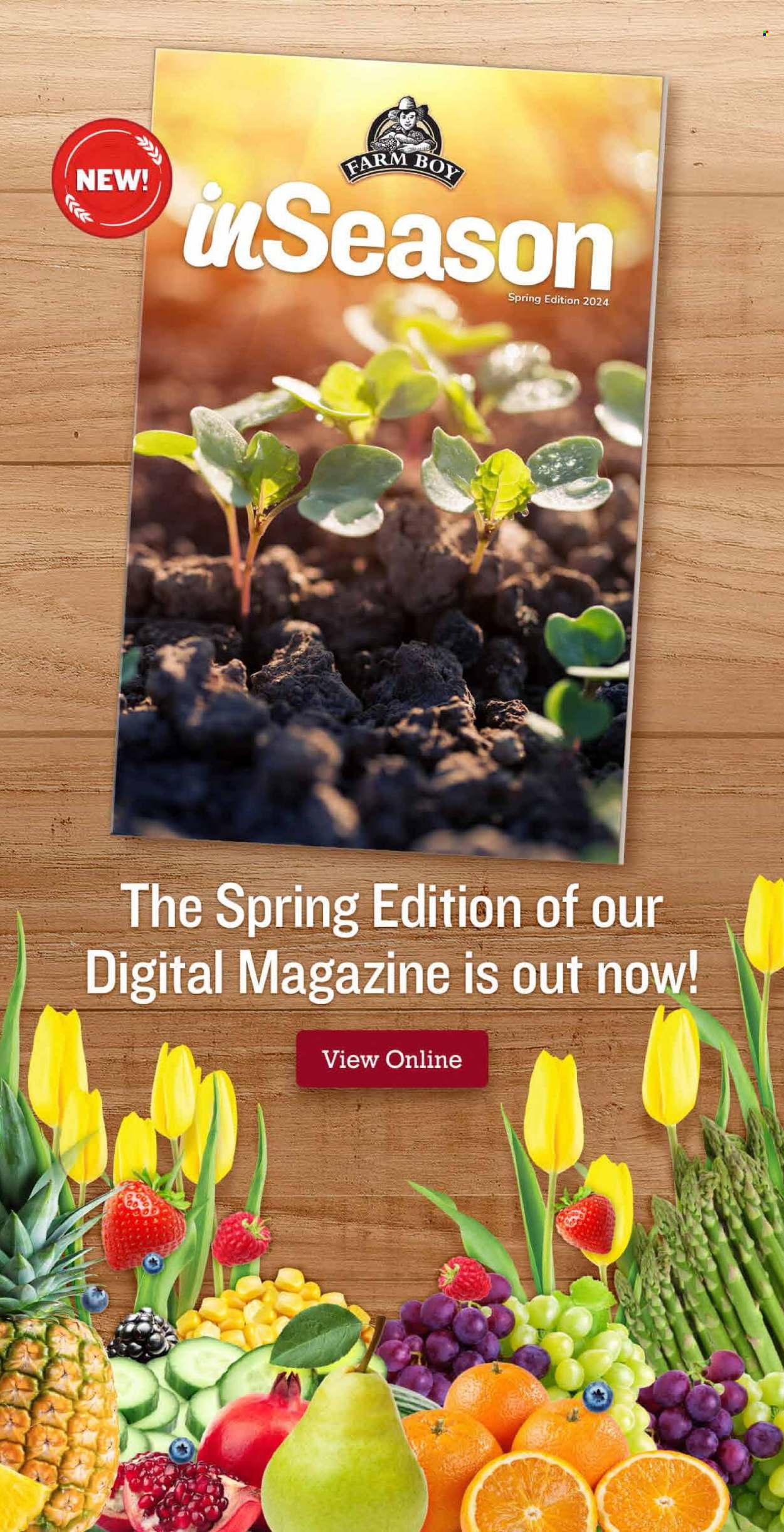 Farm Boy flyer - April 18, 2024 - April 24, 2024. Page 10