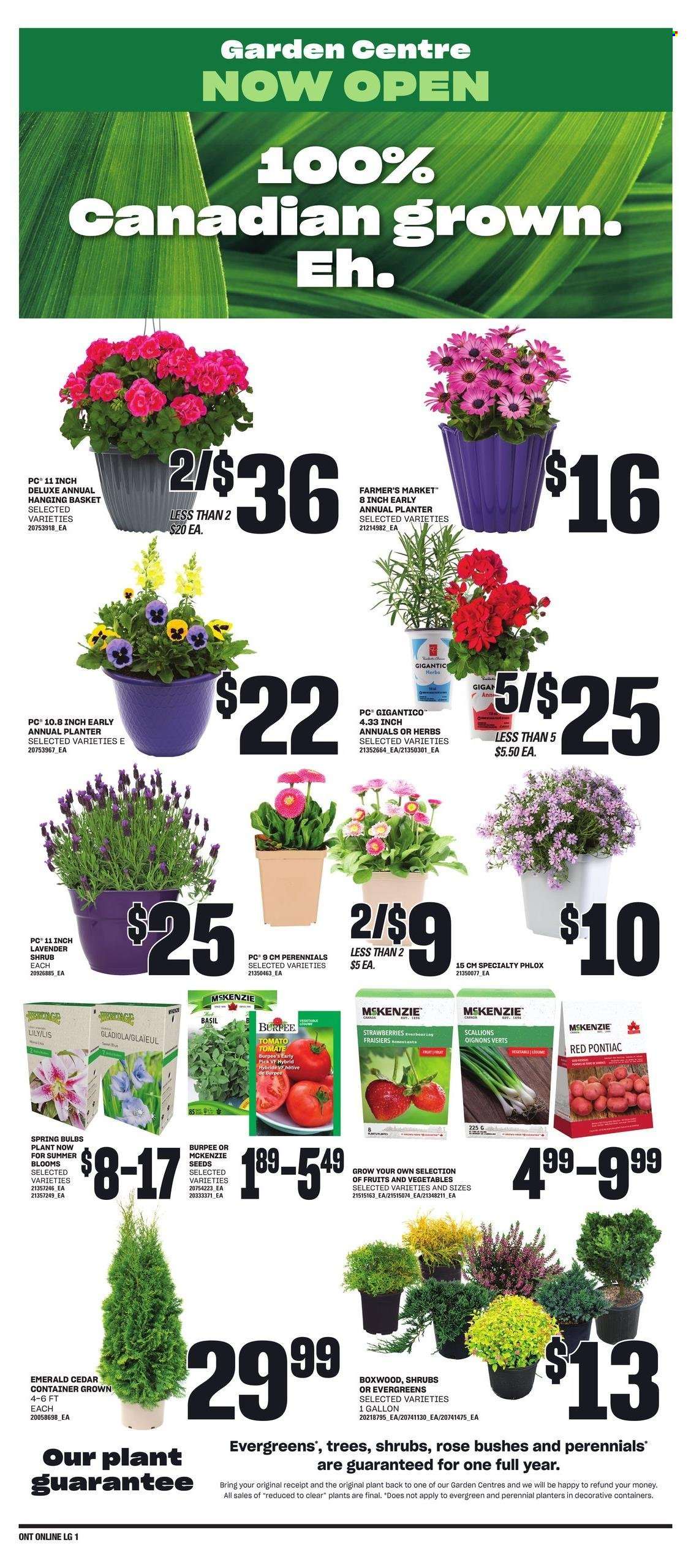 Loblaws flyer - April 25, 2024 - May 01, 2024. Page 5