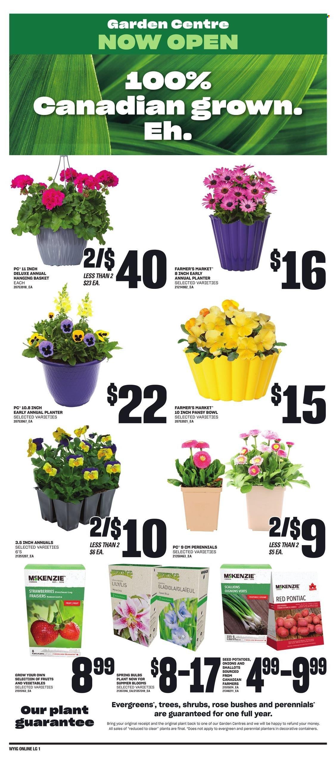 Loblaws flyer - April 25, 2024 - May 01, 2024. Page 7
