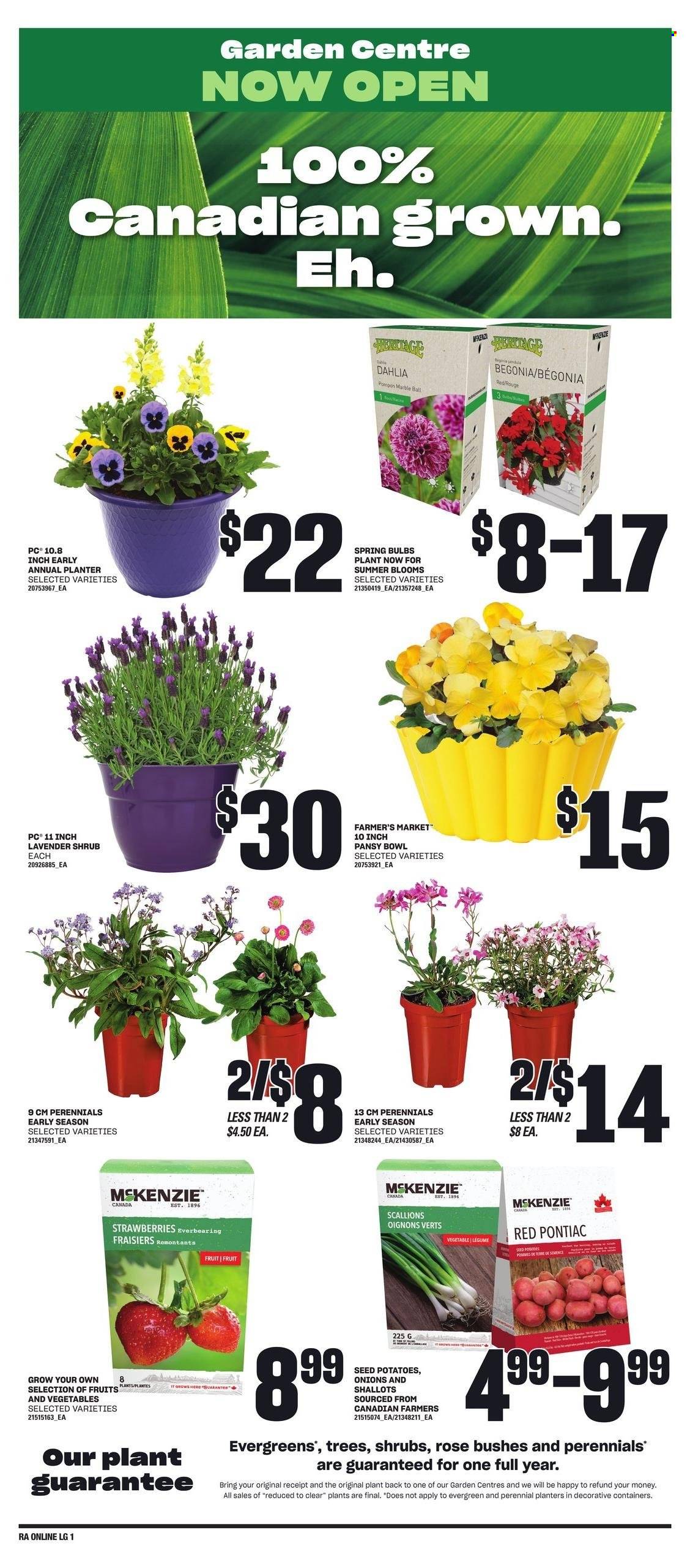 Atlantic Superstore flyer - April 25, 2024 - May 01, 2024. Page 5