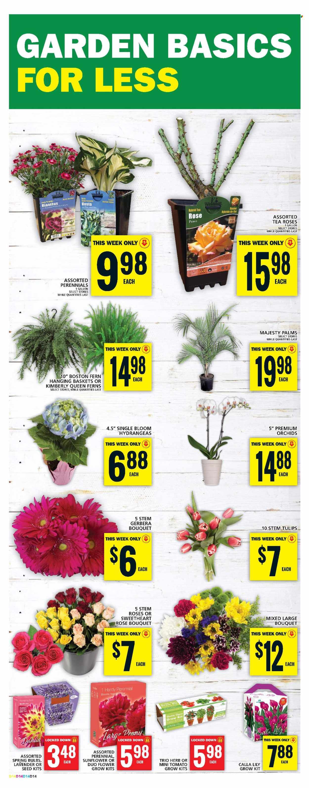 Food Basics flyer - May 02, 2024 - May 08, 2024. Page 17