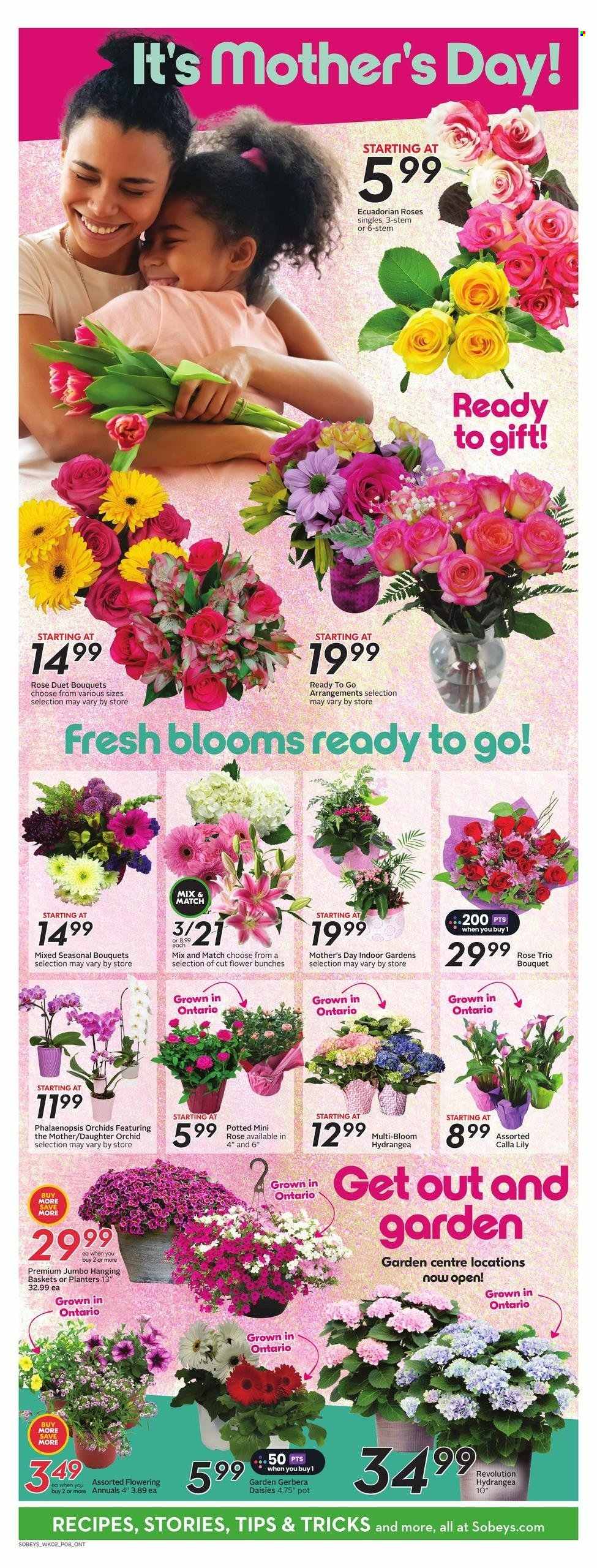 Sobeys flyer - May 09, 2024 - May 15, 2024. Page 13