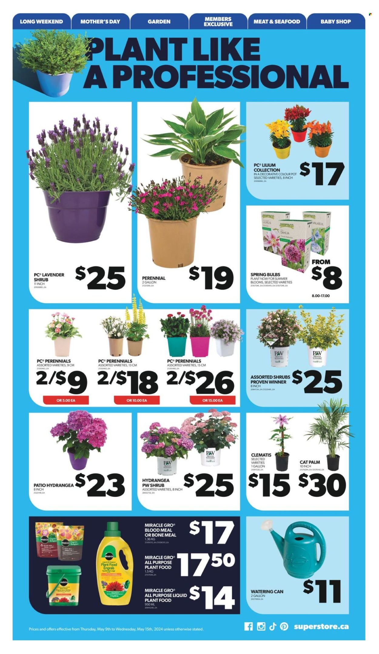 Real Canadian Superstore flyer - May 09, 2024 - May 15, 2024. Page 36