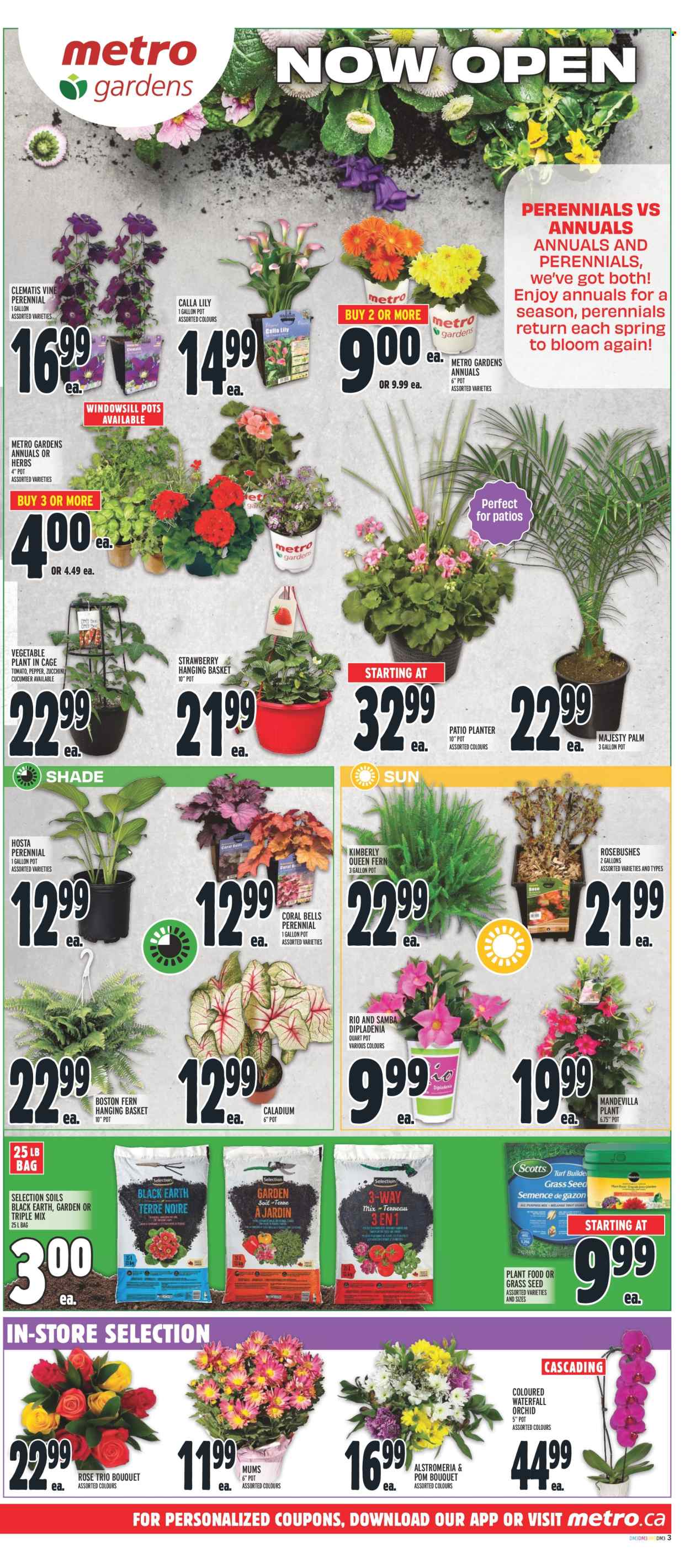 Metro flyer - May 16, 2024 - May 22, 2024. Page 6