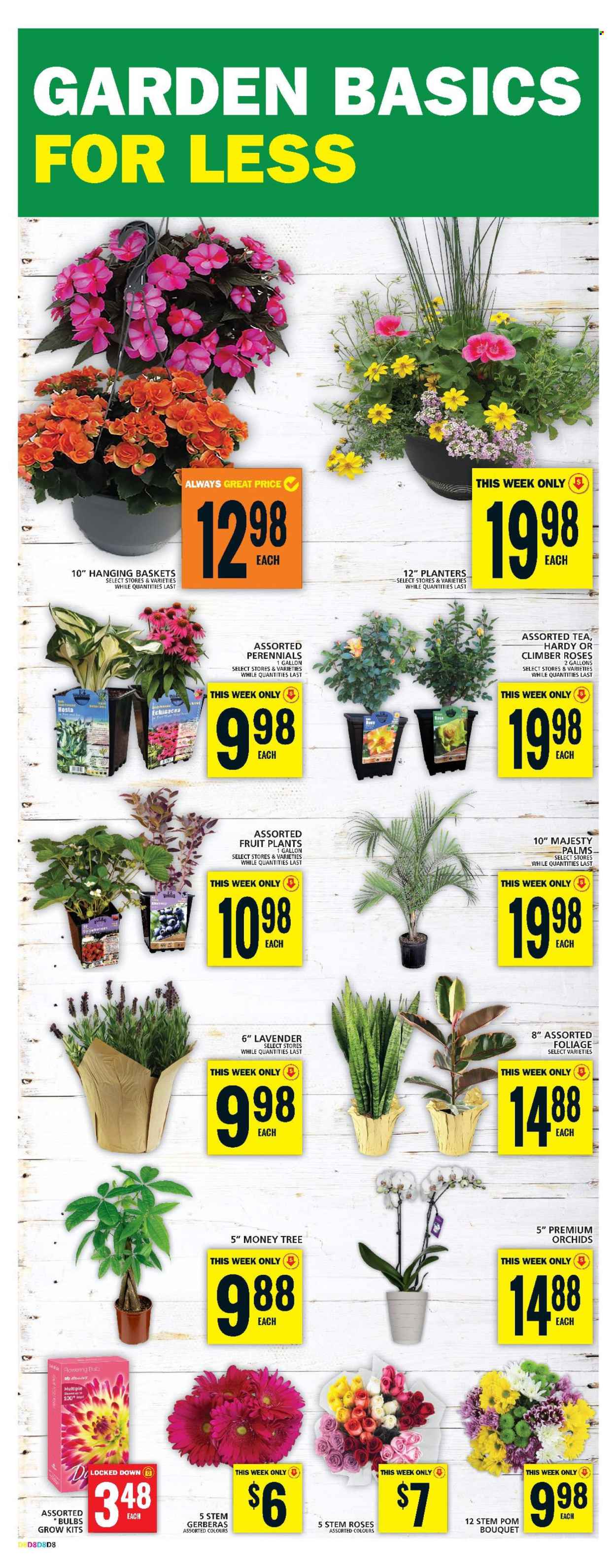 Food Basics flyer - May 16, 2024 - May 22, 2024. Page 17