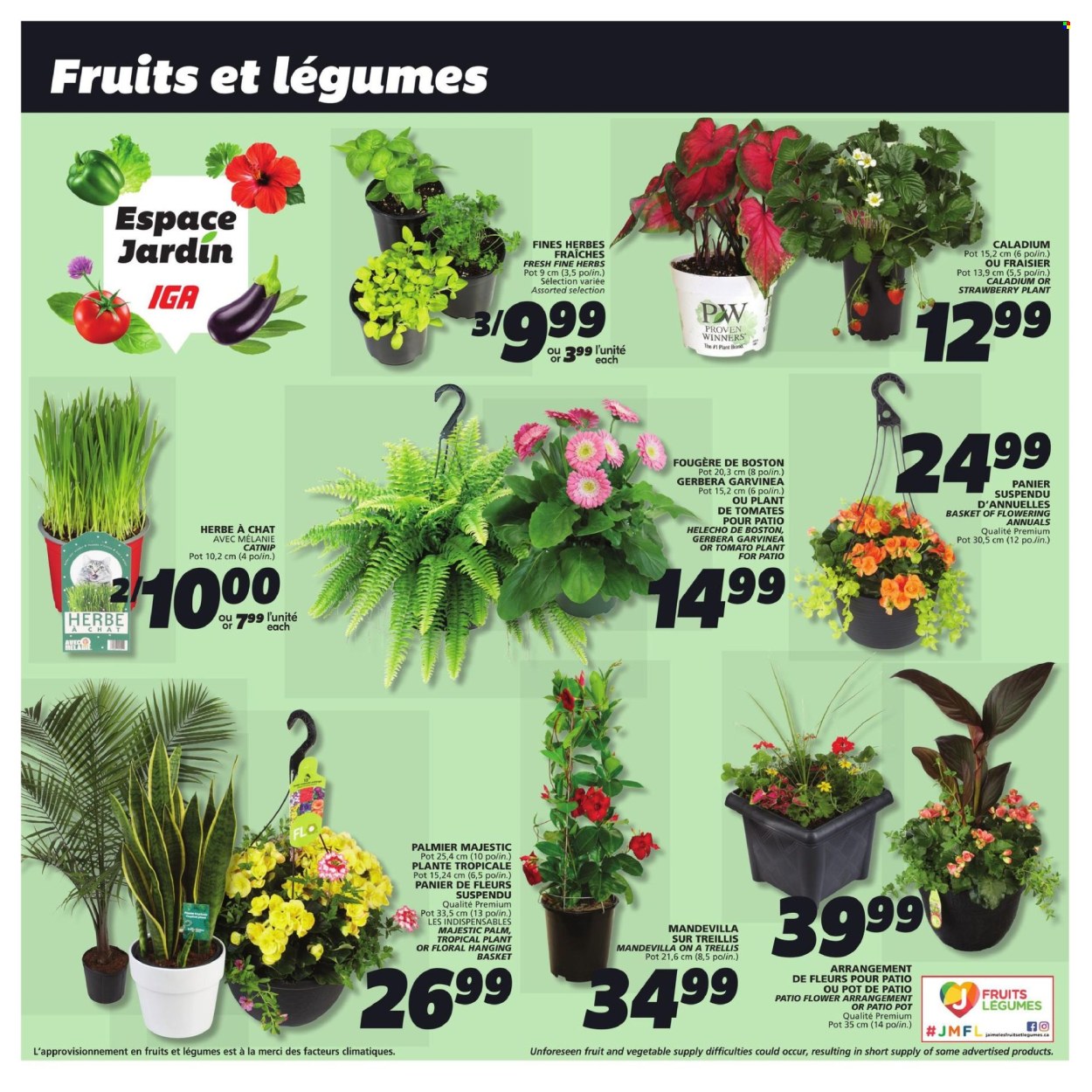 IGA flyer - May 23, 2024 - May 29, 2024. Page 9