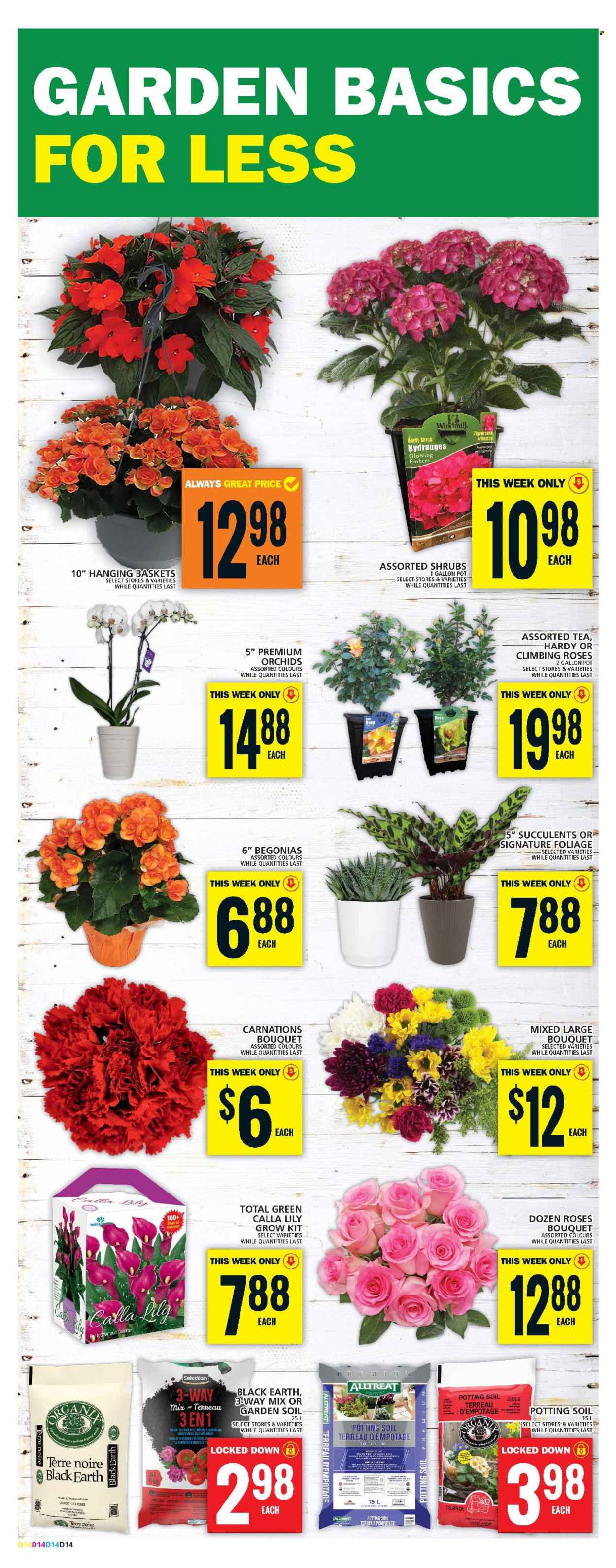 Food Basics flyer - May 23, 2024 - May 29, 2024. Page 19