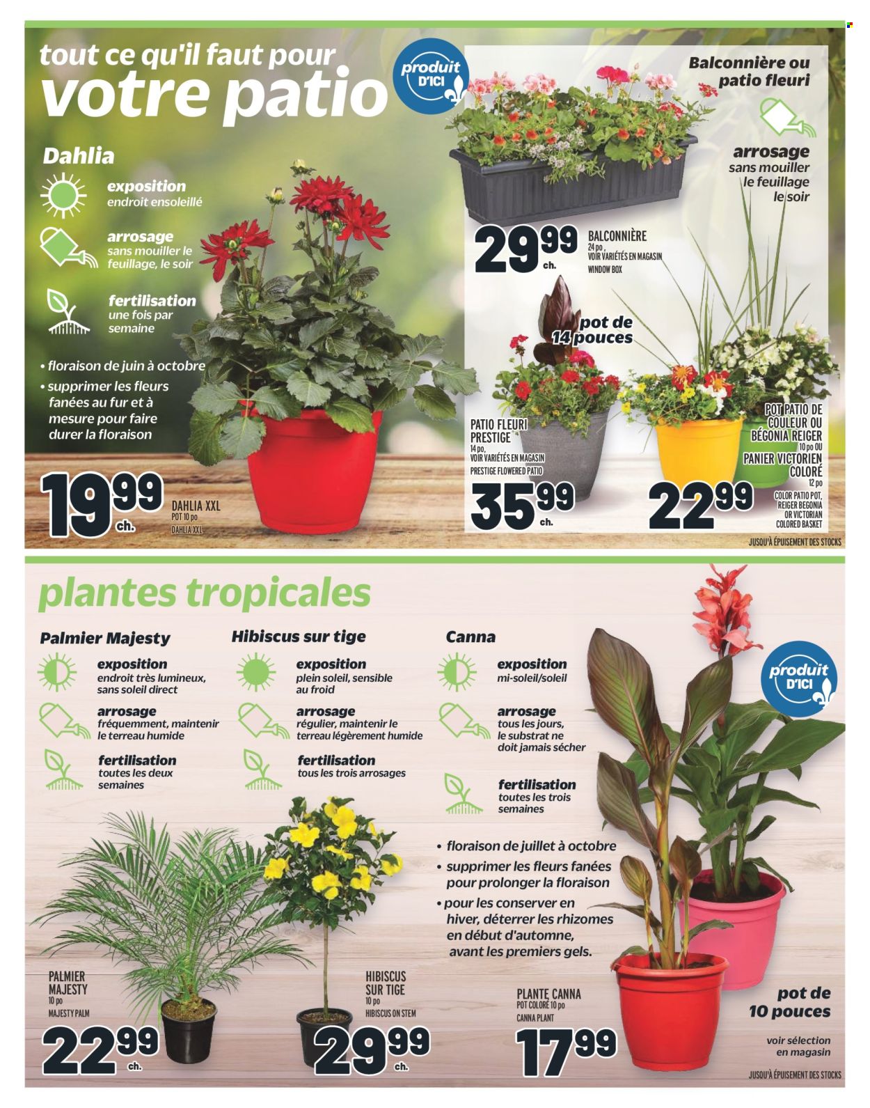 Metro flyer - May 23, 2024 - May 29, 2024. Page 3