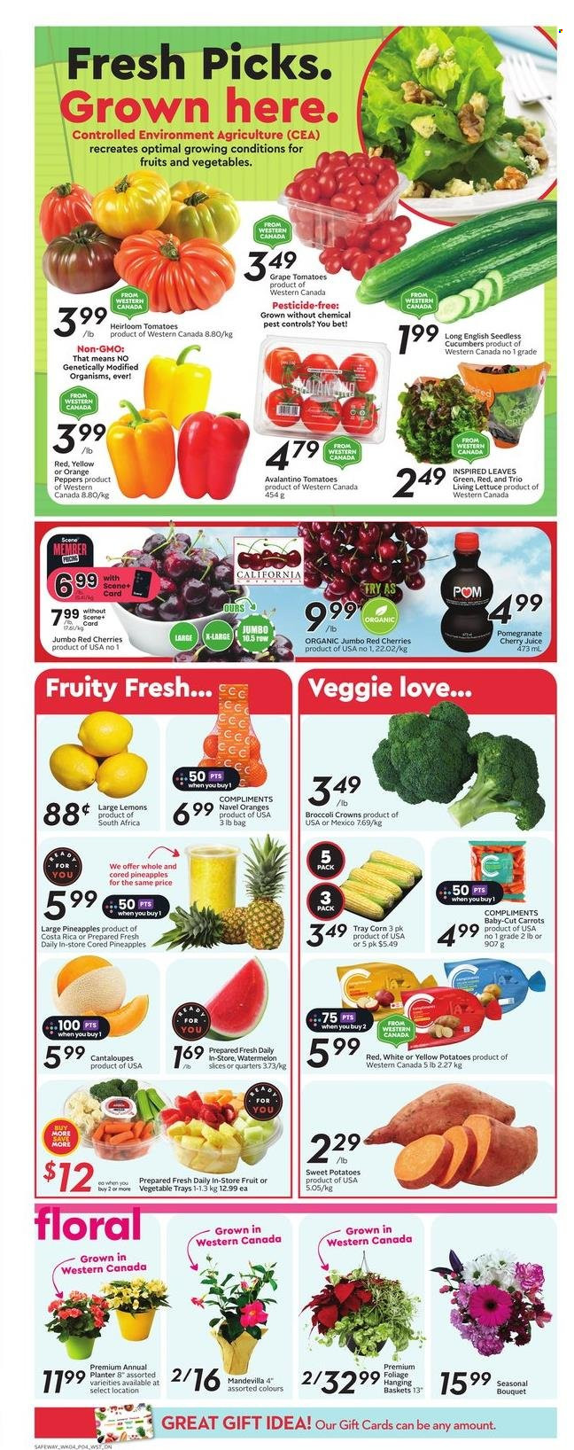 Circulaire Safeway - 23 Mai 2024 - 29 Mai 2024. Page 5