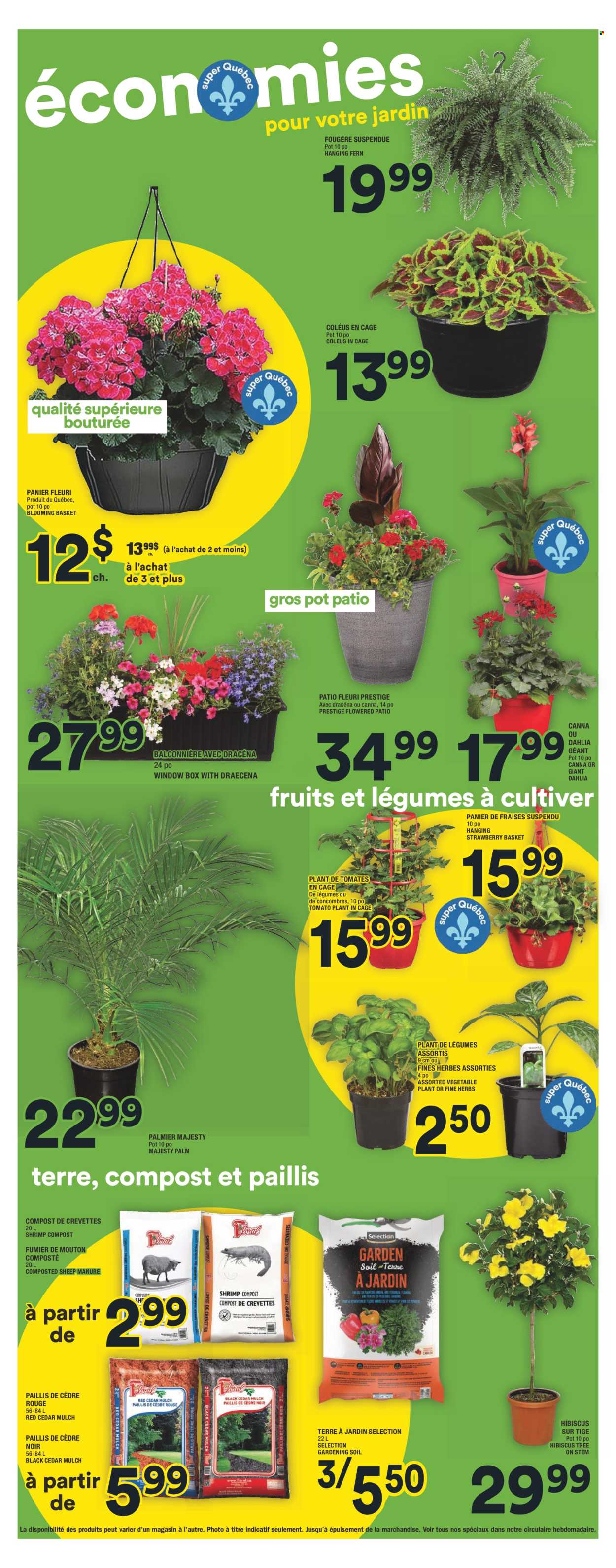 Super C flyer - May 23, 2024 - May 29, 2024. Page 14