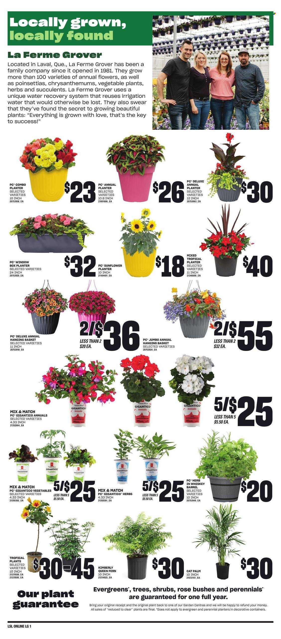 Loblaws flyer - May 23, 2024 - May 29, 2024. Page 5