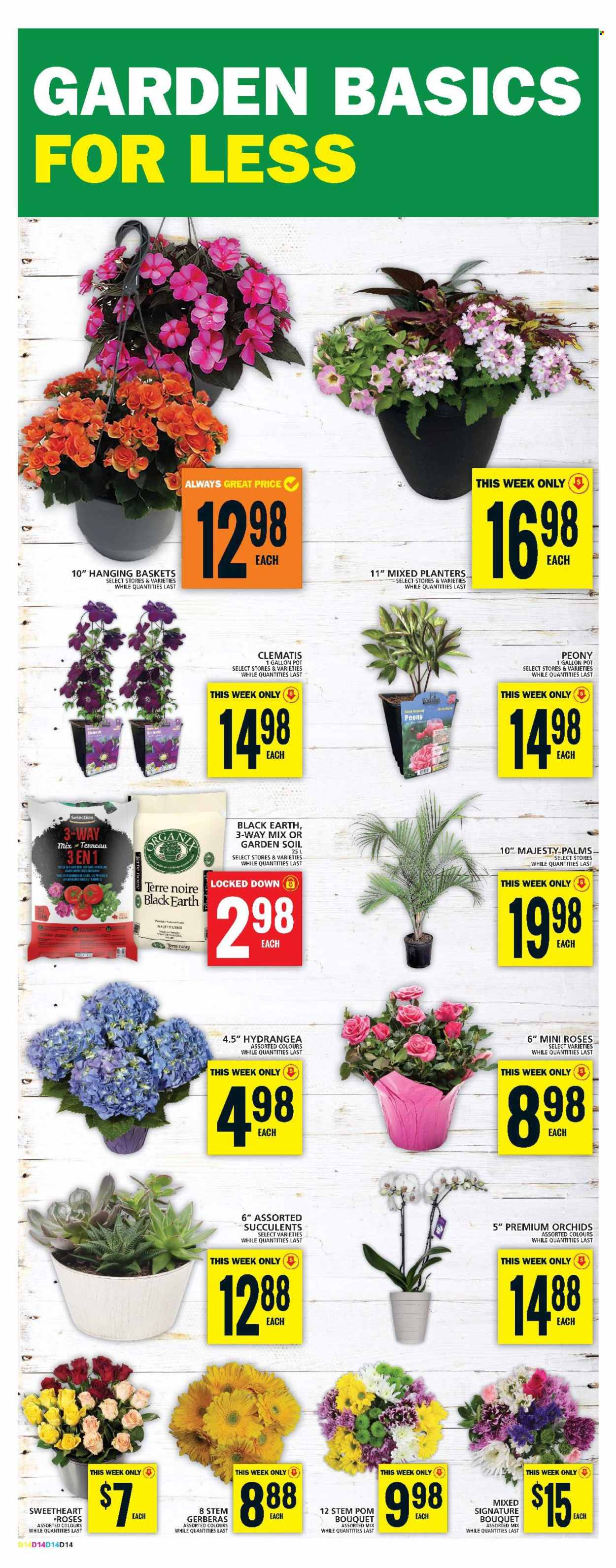 Food Basics flyer - May 30, 2024 - June 05, 2024. Page 16