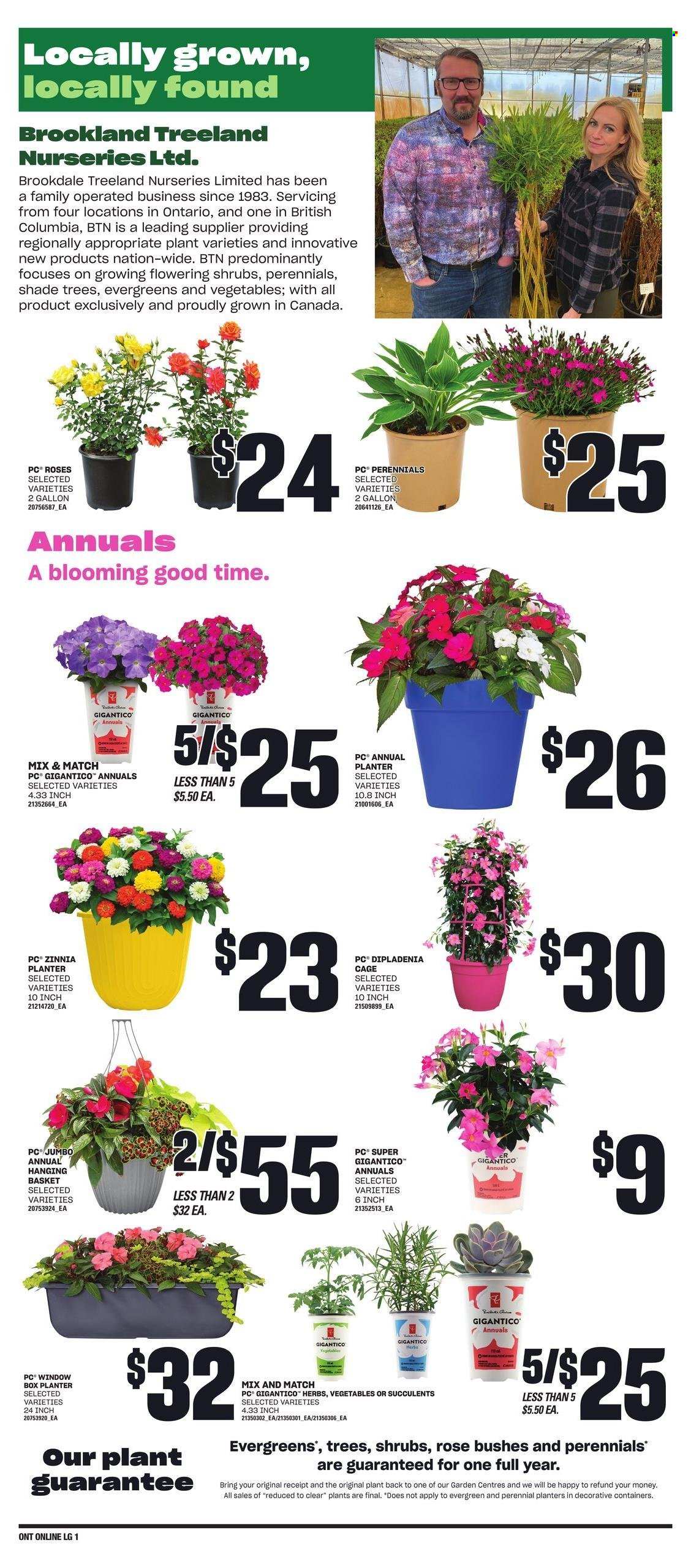 Loblaws flyer - May 30, 2024 - June 05, 2024. Page 7