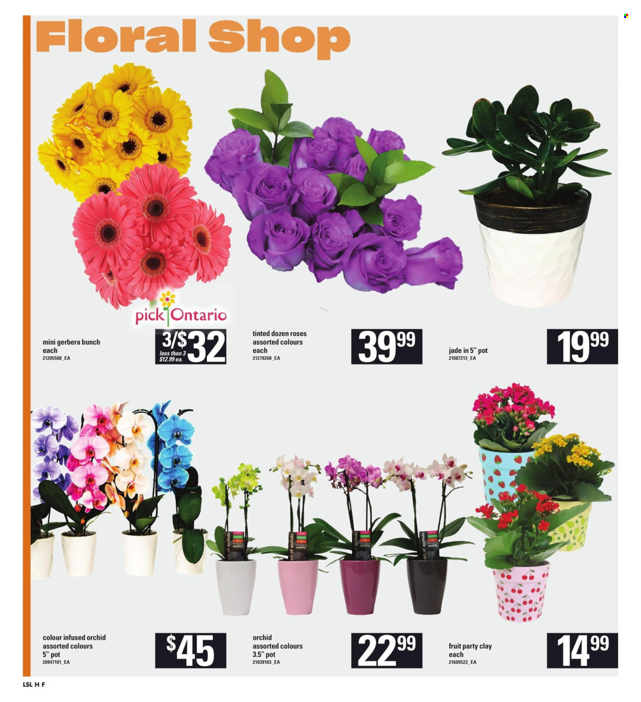 Loblaws flyer - May 30, 2024 - June 05, 2024. Page 11
