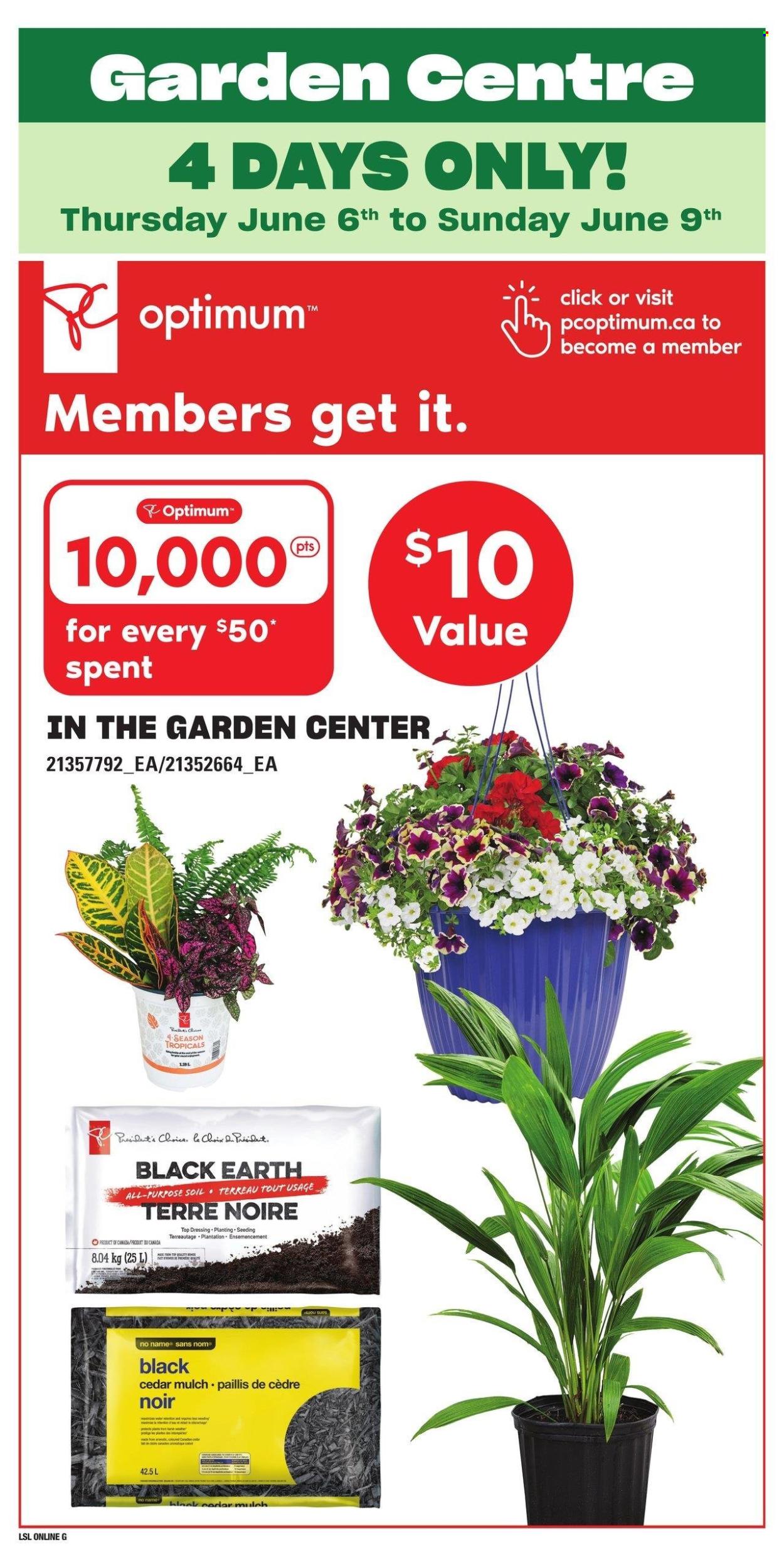 Loblaws flyer - June 06, 2024 - June 12, 2024. Page 16