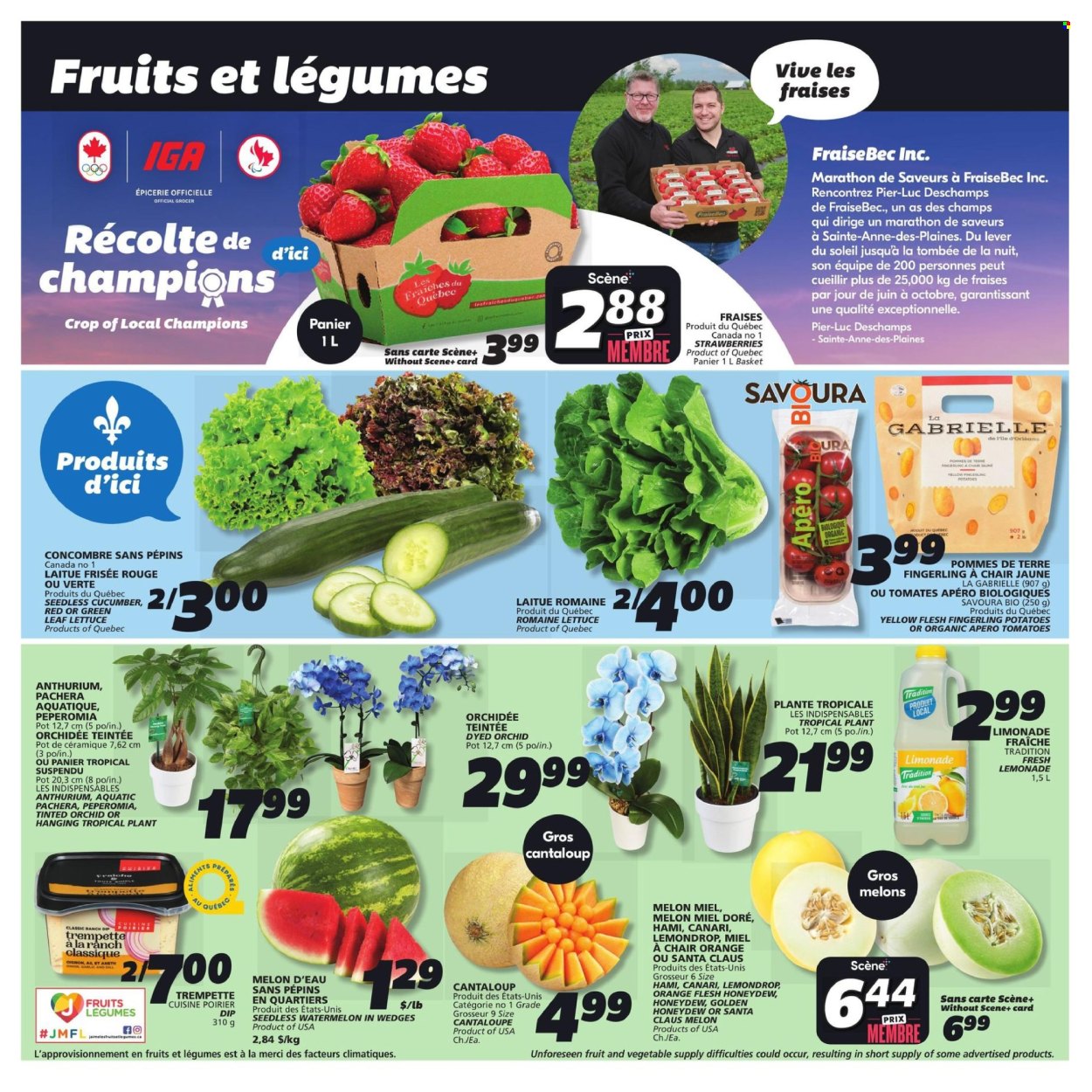IGA flyer - June 20, 2024 - June 26, 2024. Page 8