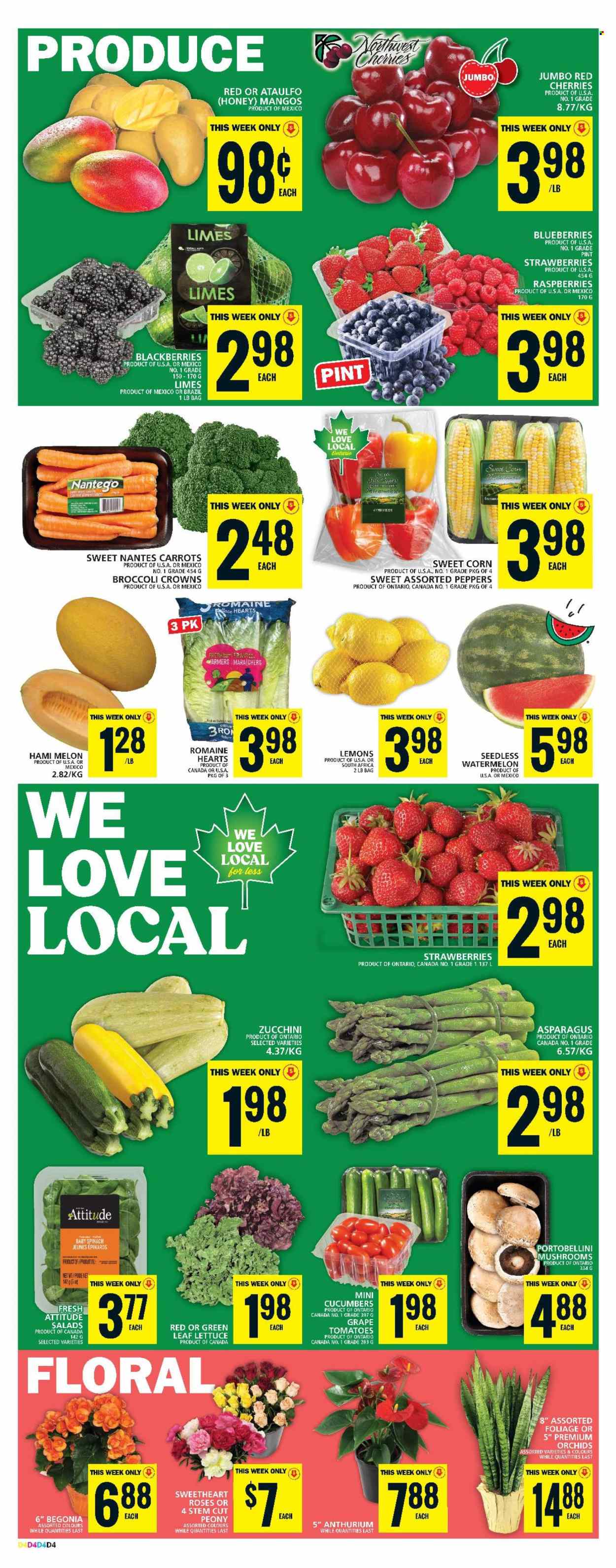 Food Basics flyer - June 20, 2024 - June 26, 2024. Page 6