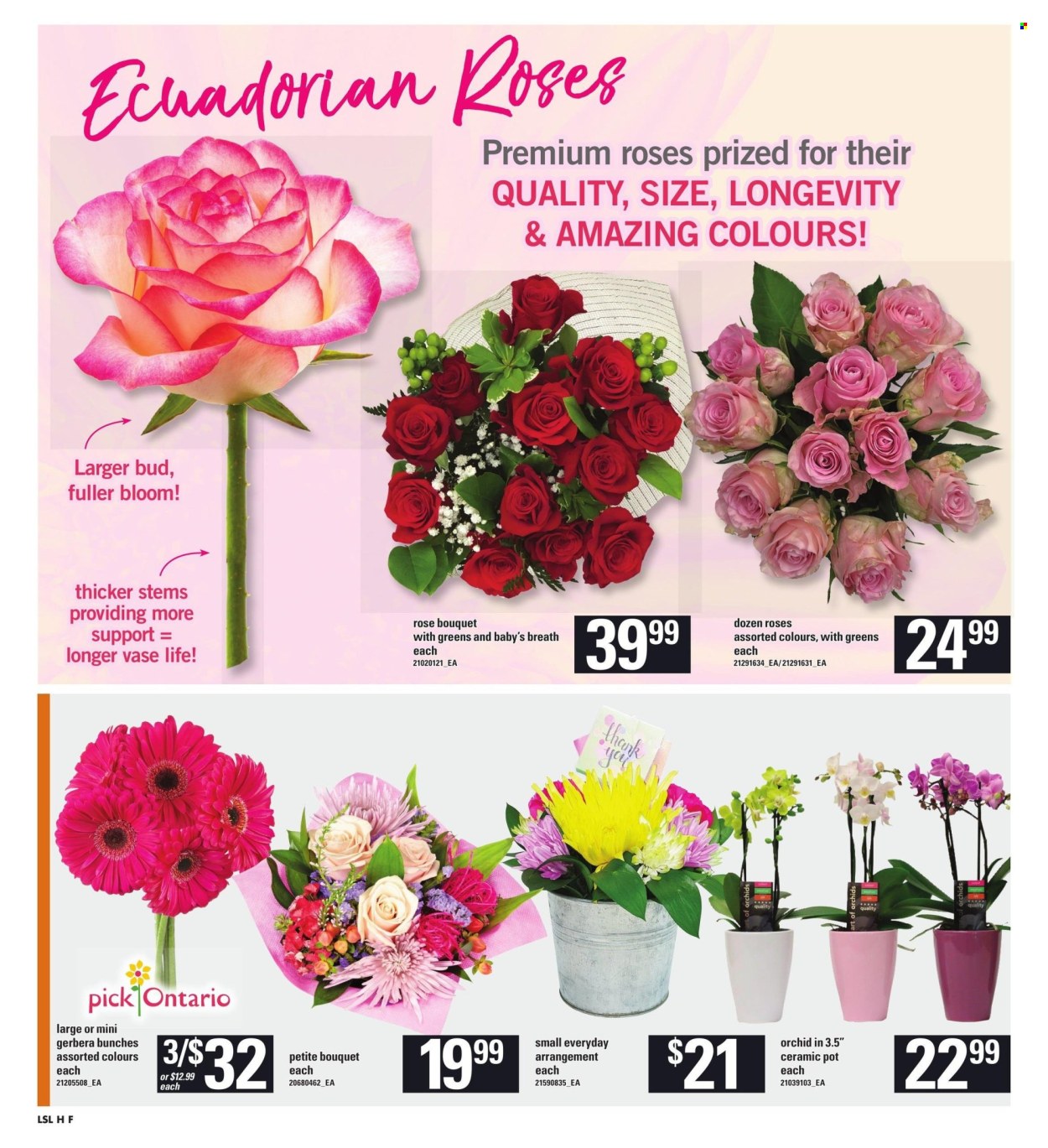 Loblaws flyer - June 20, 2024 - June 26, 2024. Page 10
