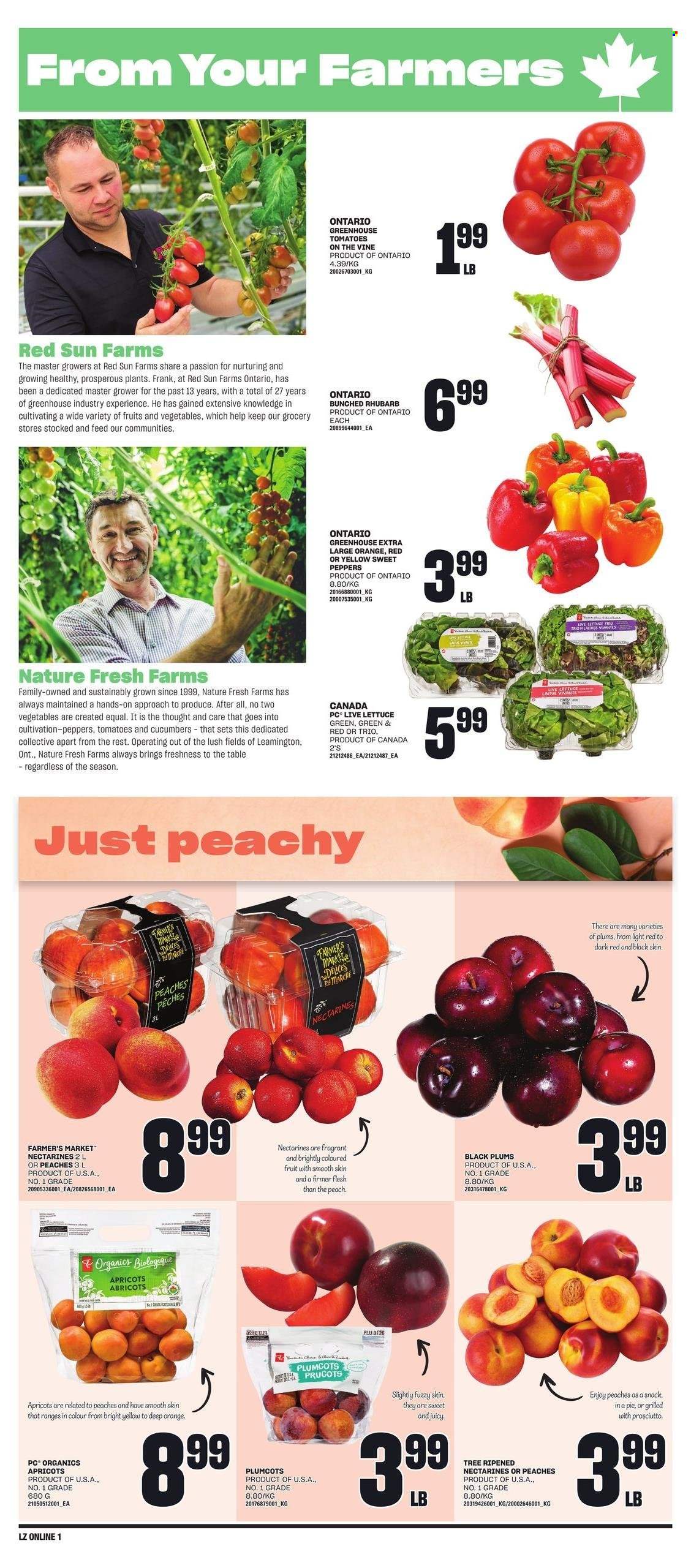 Loblaws flyer - June 20, 2024 - June 26, 2024. Page 5