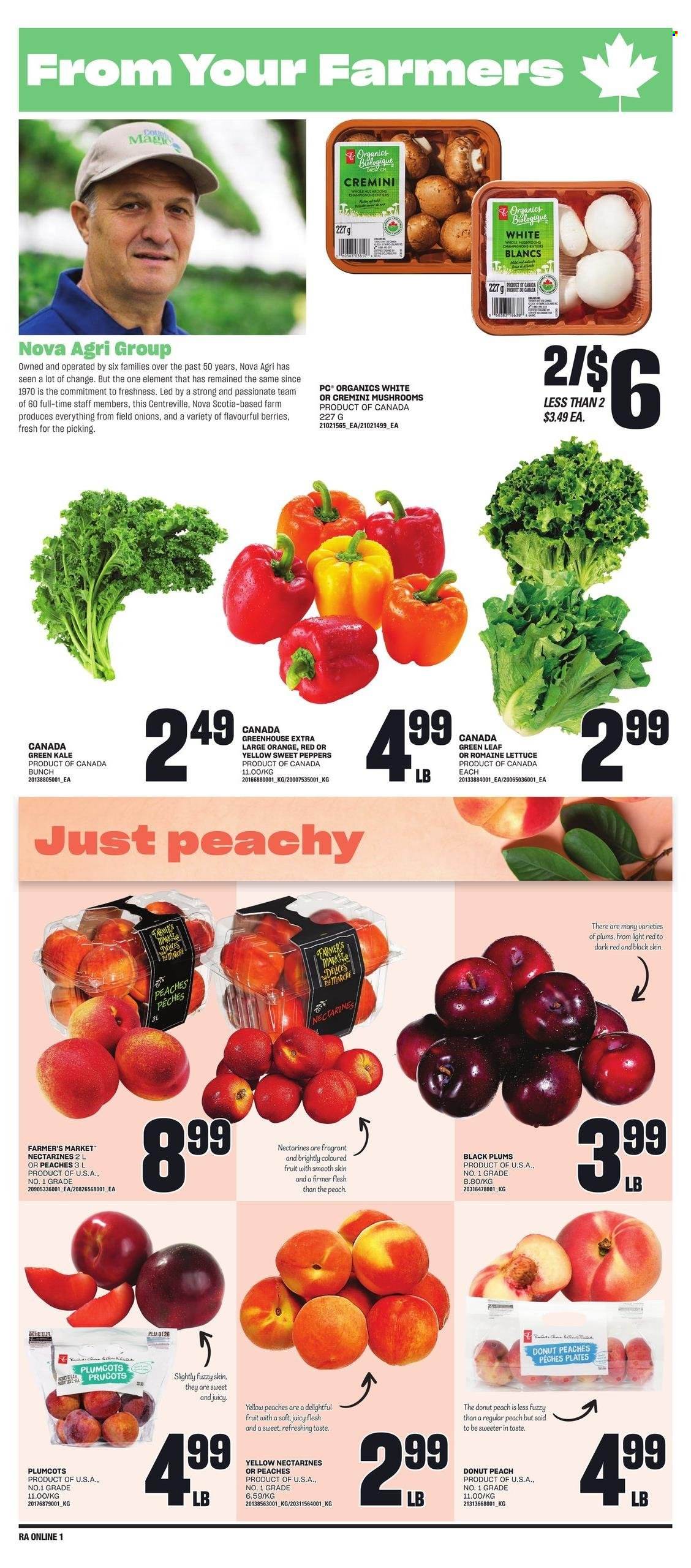 Atlantic Superstore flyer - June 20, 2024 - June 26, 2024. Page 5