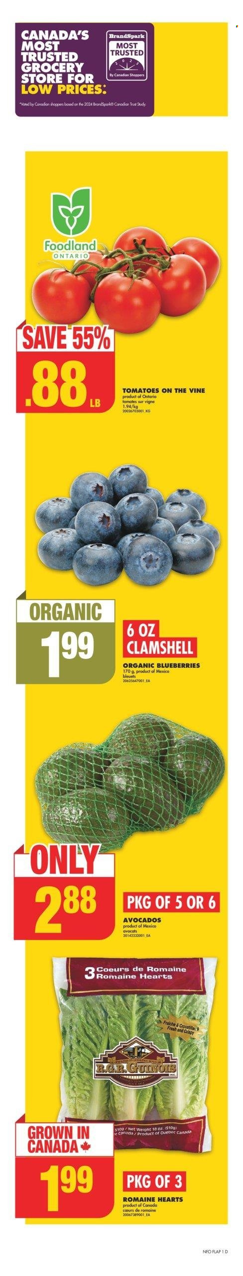 No Frills flyer - July 11, 2024 - July 17, 2024. Page 1