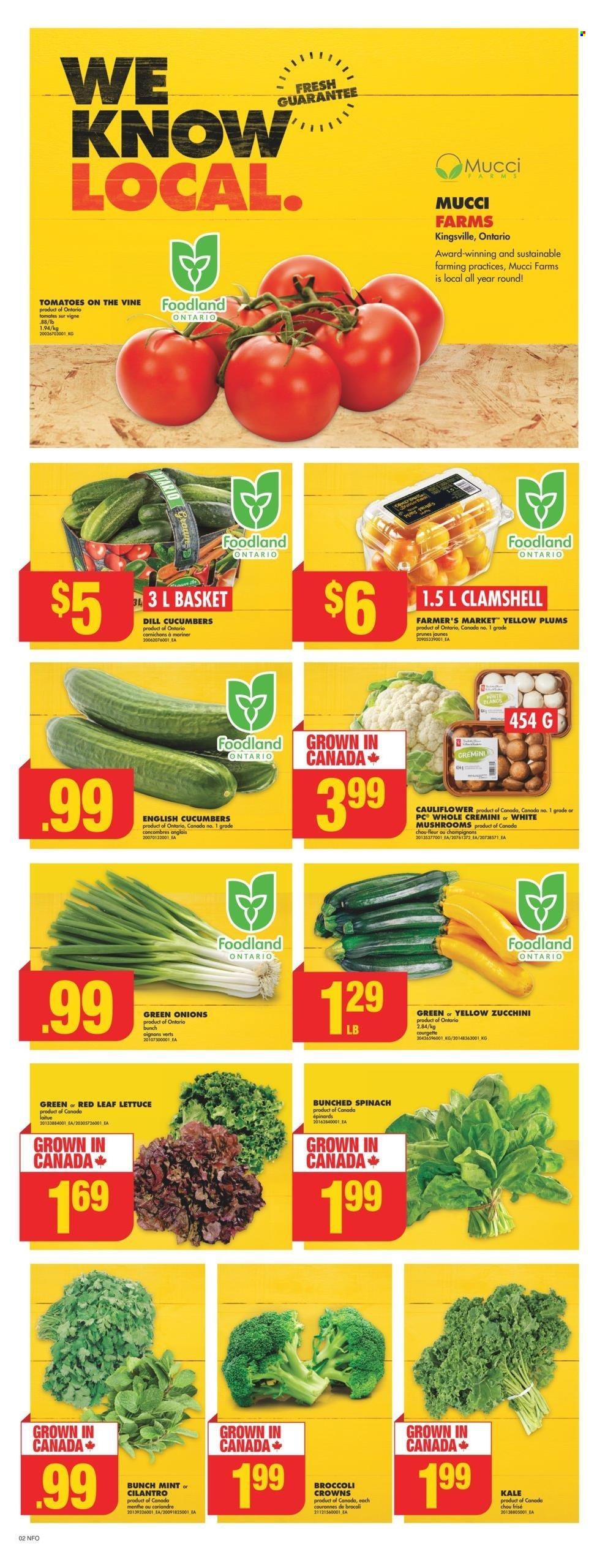No Frills flyer - July 11, 2024 - July 17, 2024. Page 4