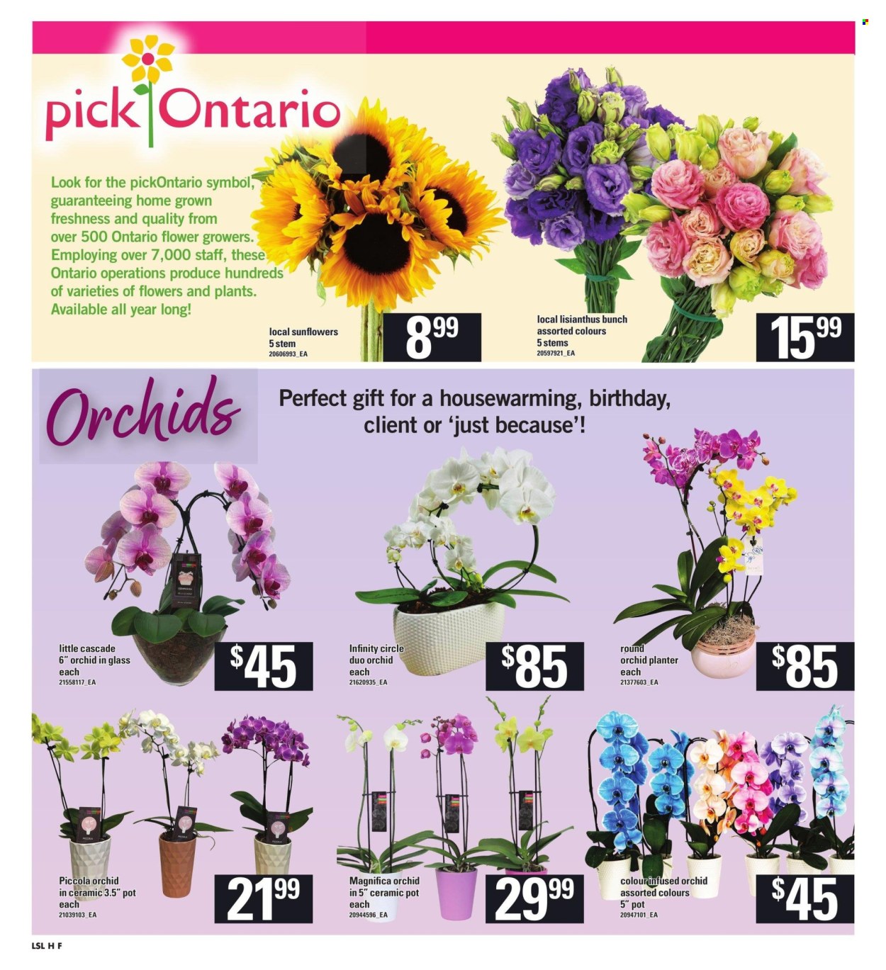 Loblaws flyer - July 11, 2024 - July 17, 2024. Page 9