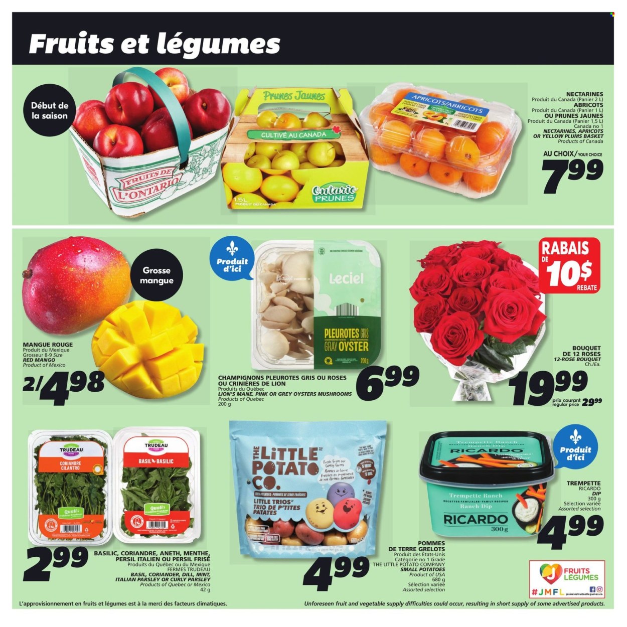 IGA flyer - July 25, 2024 - July 31, 2024. Page 10