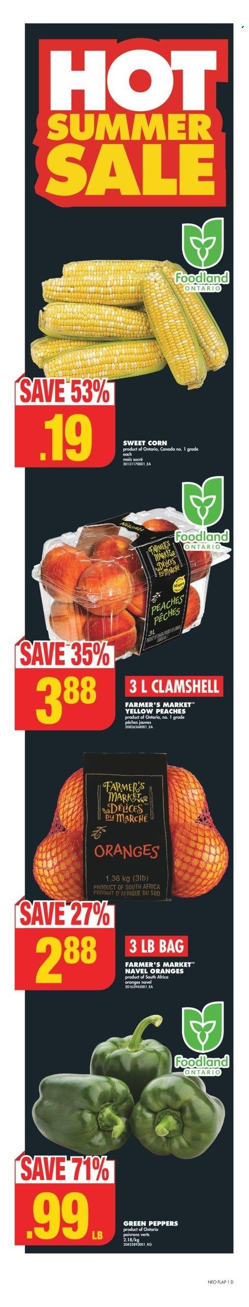 No Frills flyer - July 25, 2024 - July 31, 2024. Page 1