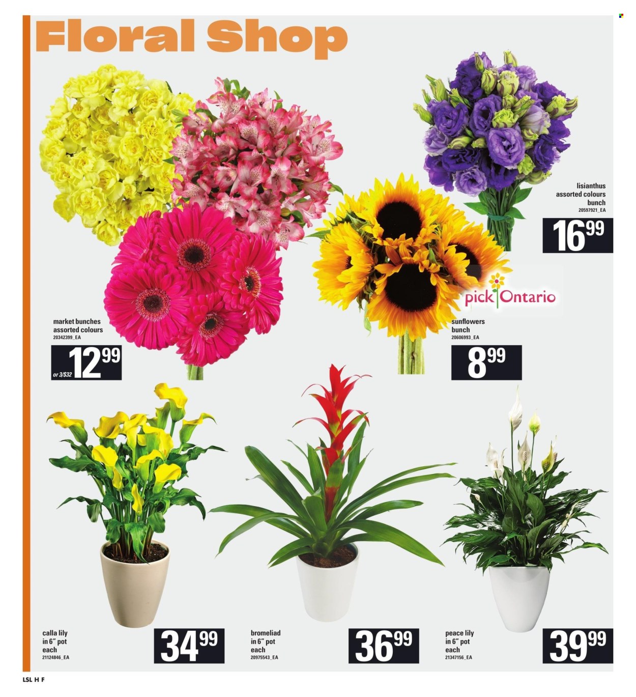 Loblaws flyer - July 25, 2024 - July 31, 2024. Page 10