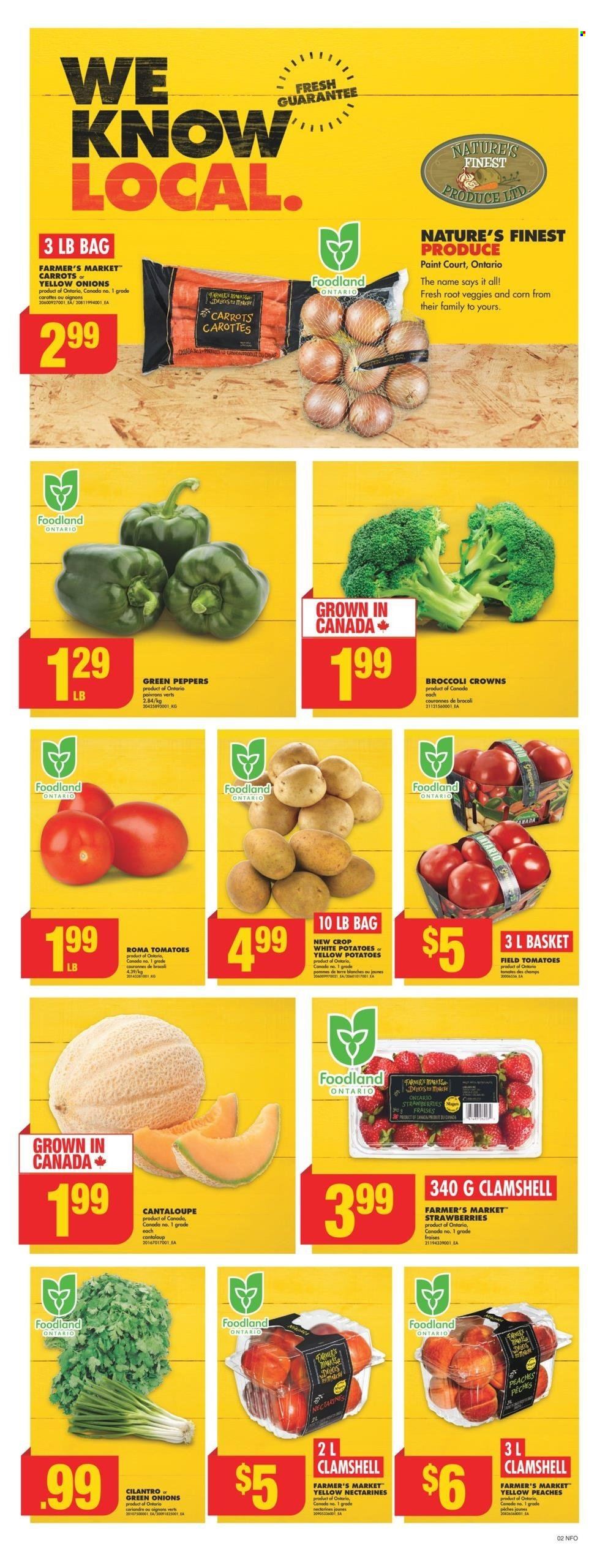 No Frills flyer - August 01, 2024 - August 07, 2024. Page 4