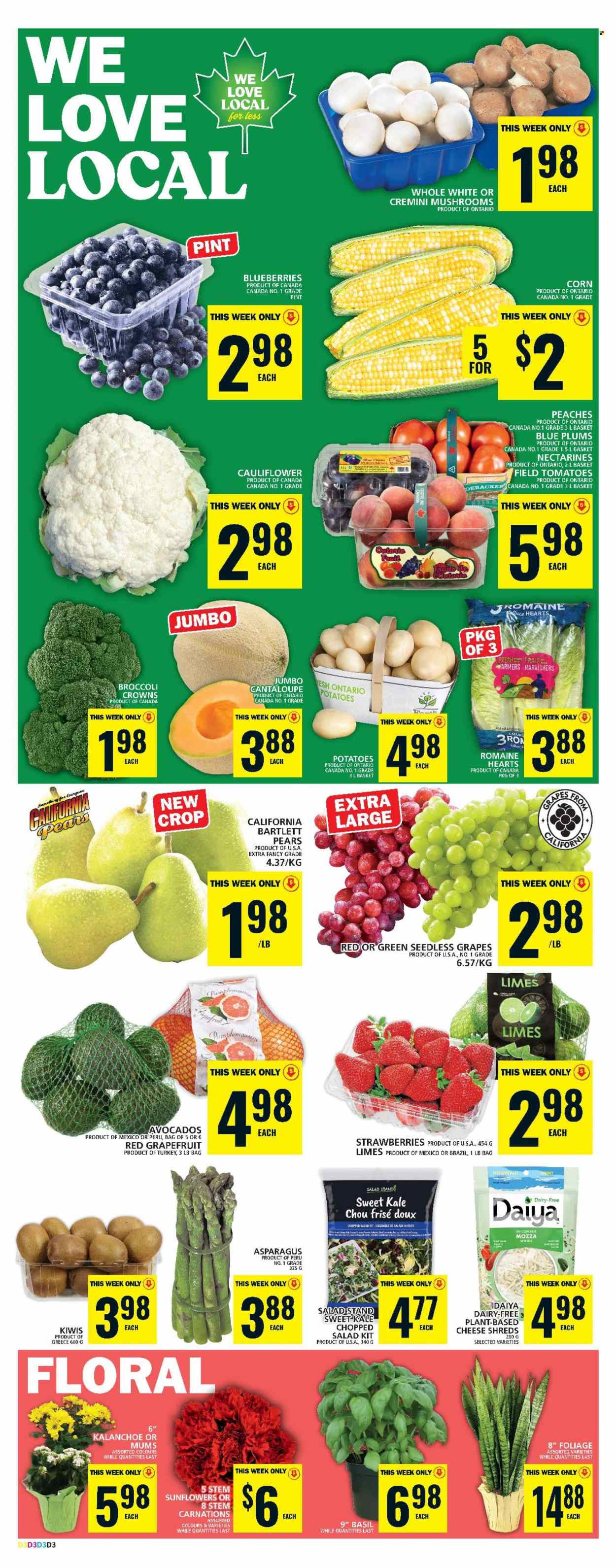 Food Basics flyer - August 08, 2024 - August 14, 2024. Page 6