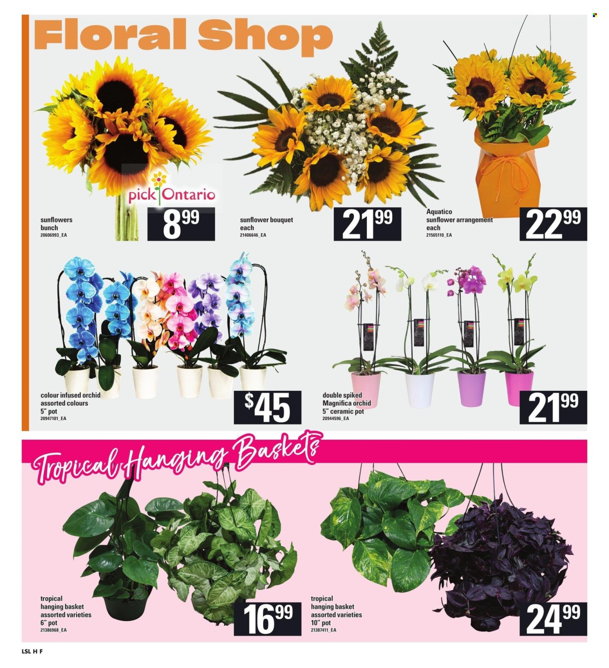 Loblaws flyer - August 08, 2024 - August 14, 2024. Page 10