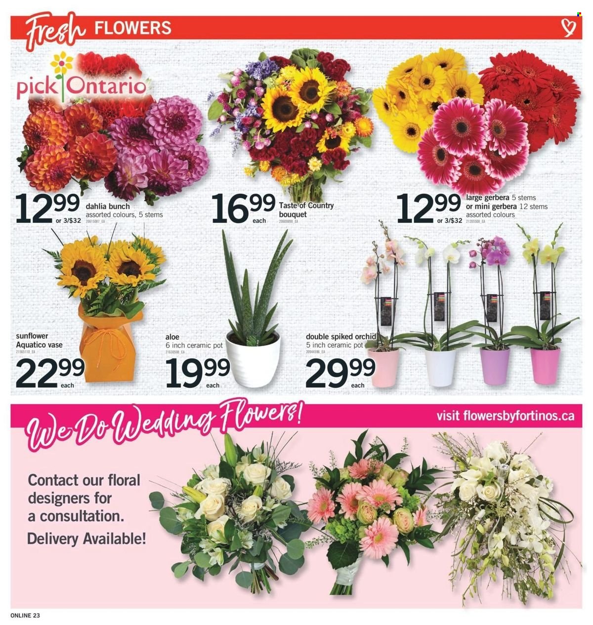 Fortinos flyer - August 15, 2024 - August 21, 2024. Page 14
