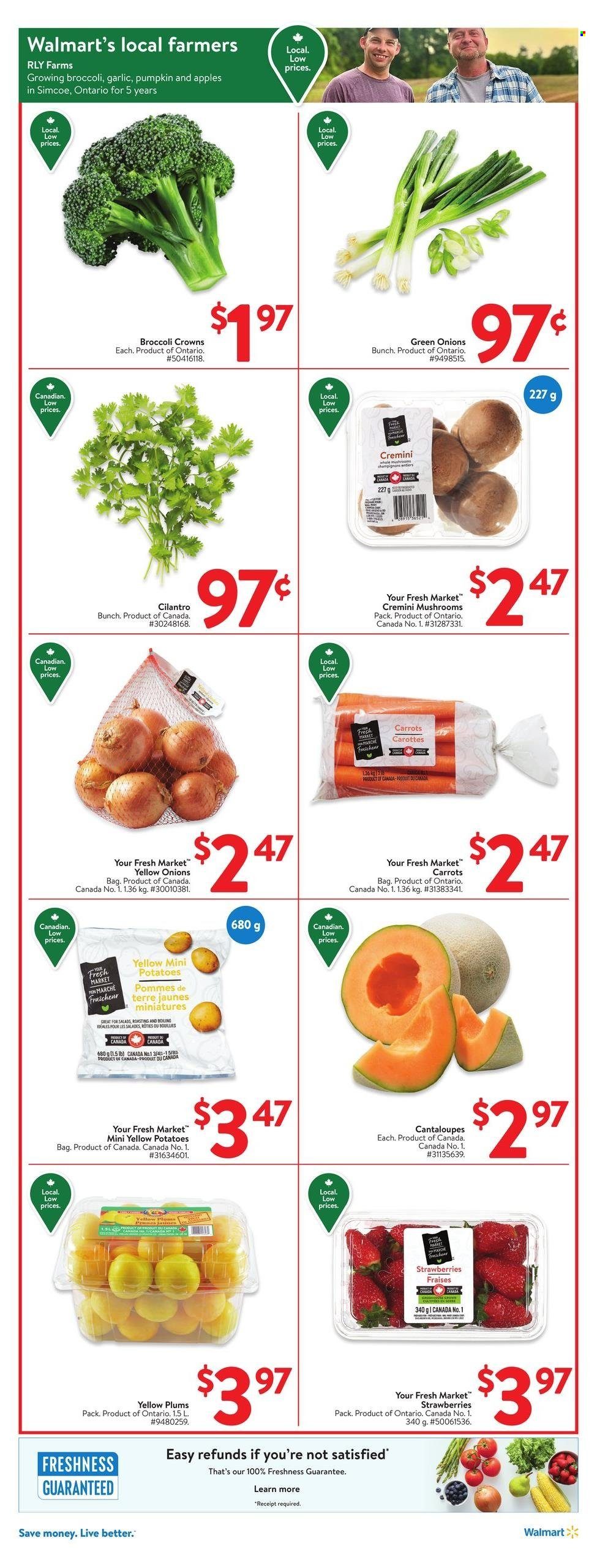 Walmart flyer - August 15, 2024 - August 21, 2024. Page 5