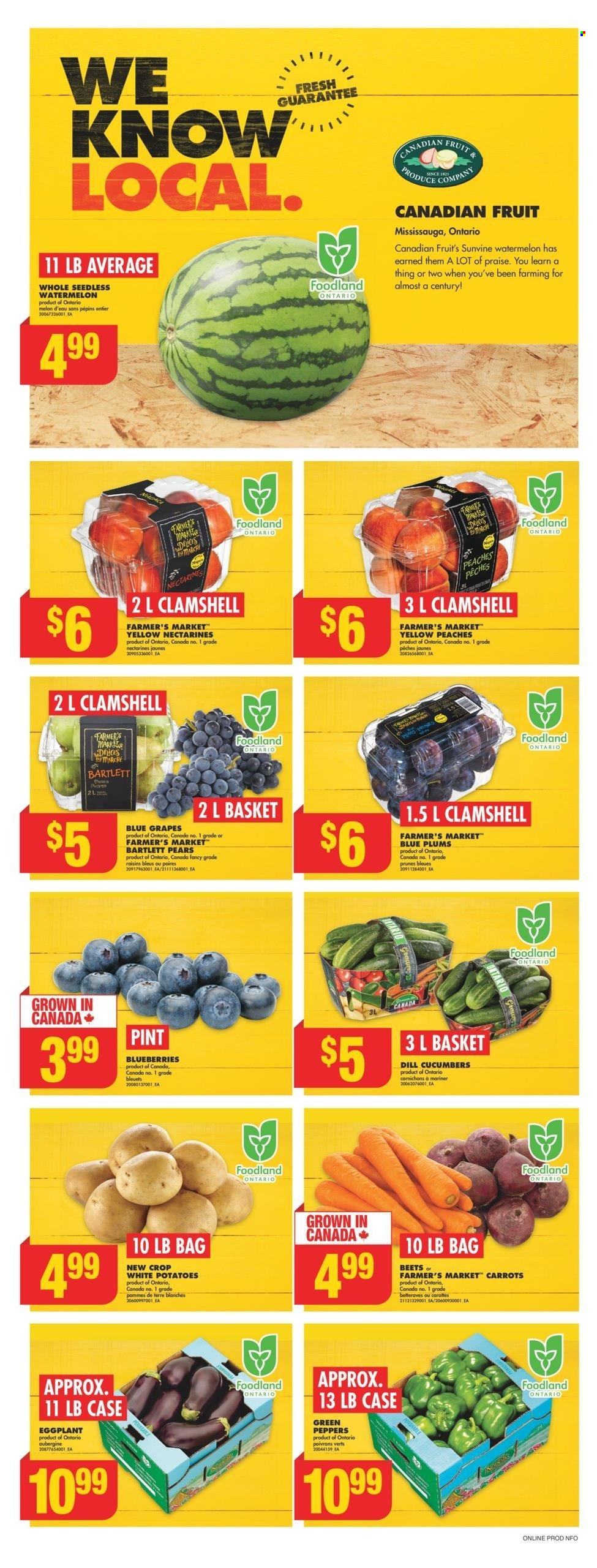 No Frills flyer - August 22, 2024 - August 28, 2024. Page 4