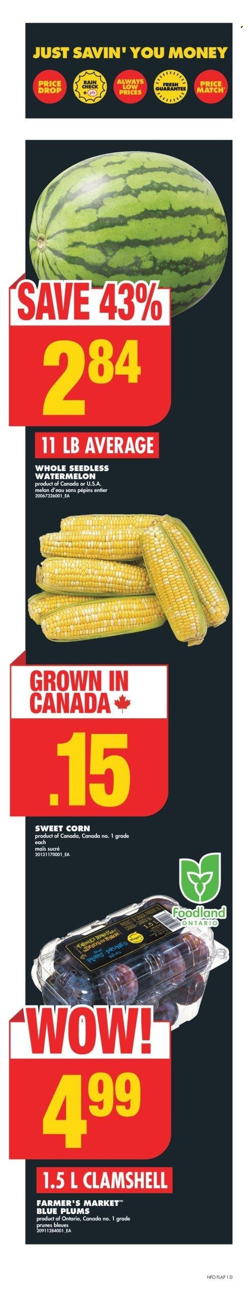 No Frills flyer - August 29, 2024 - September 04, 2024. Page 1