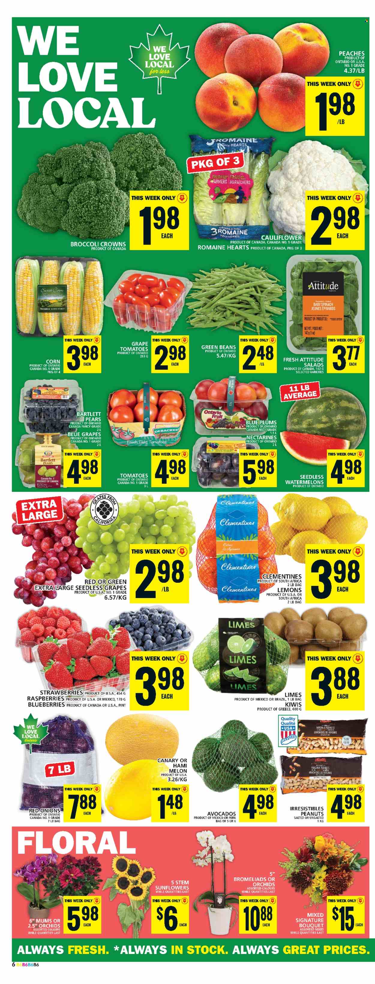 Food Basics flyer - August 29, 2024 - September 04, 2024. Page 10