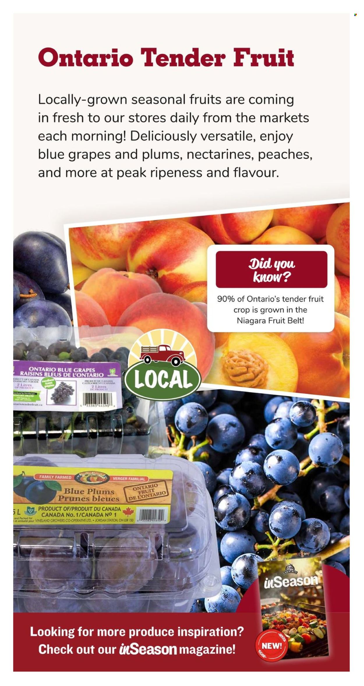 Farm Boy flyer - August 29, 2024 - September 04, 2024. Page 6