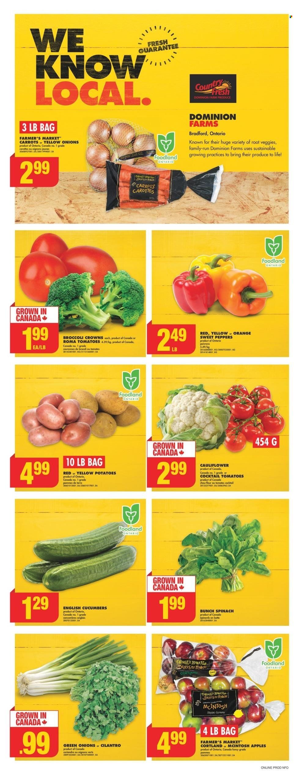 No Frills flyer - September 19, 2024 - September 25, 2024. Page 5