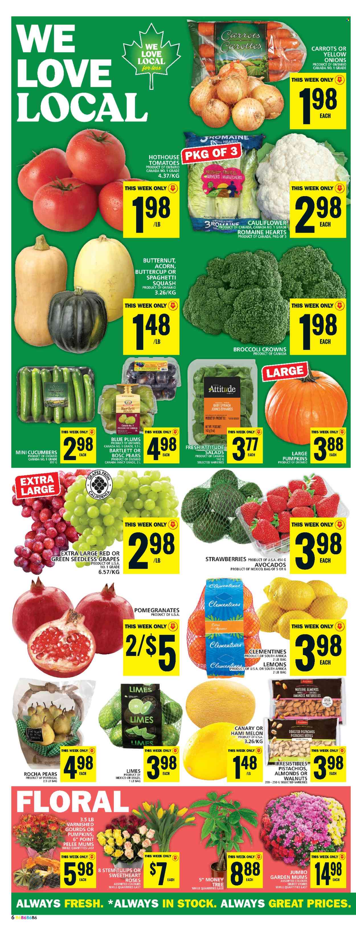 Food Basics flyer - September 19, 2024 - September 25, 2024. Page 8