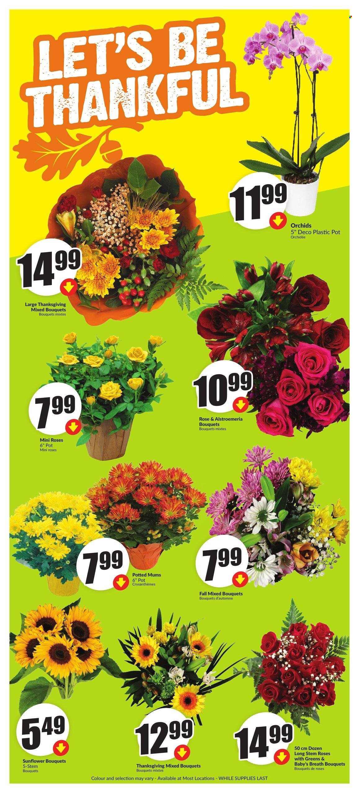FreshCo. flyer - October 03, 2024 - October 09, 2024. Page 5