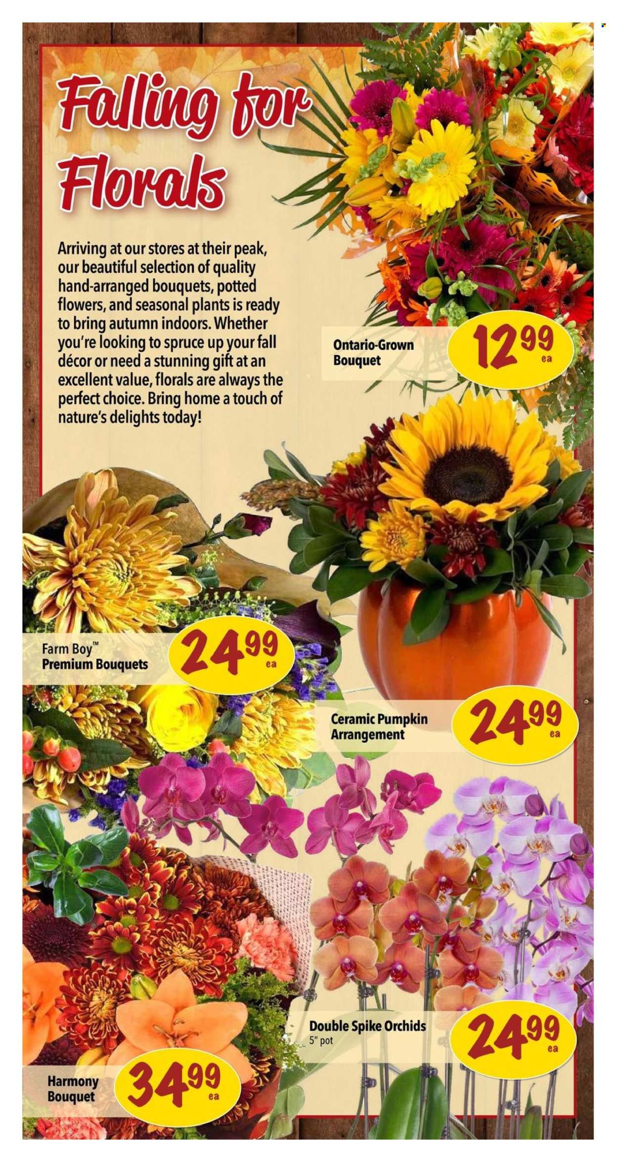 Farm Boy flyer - October 03, 2024 - October 09, 2024. Page 11